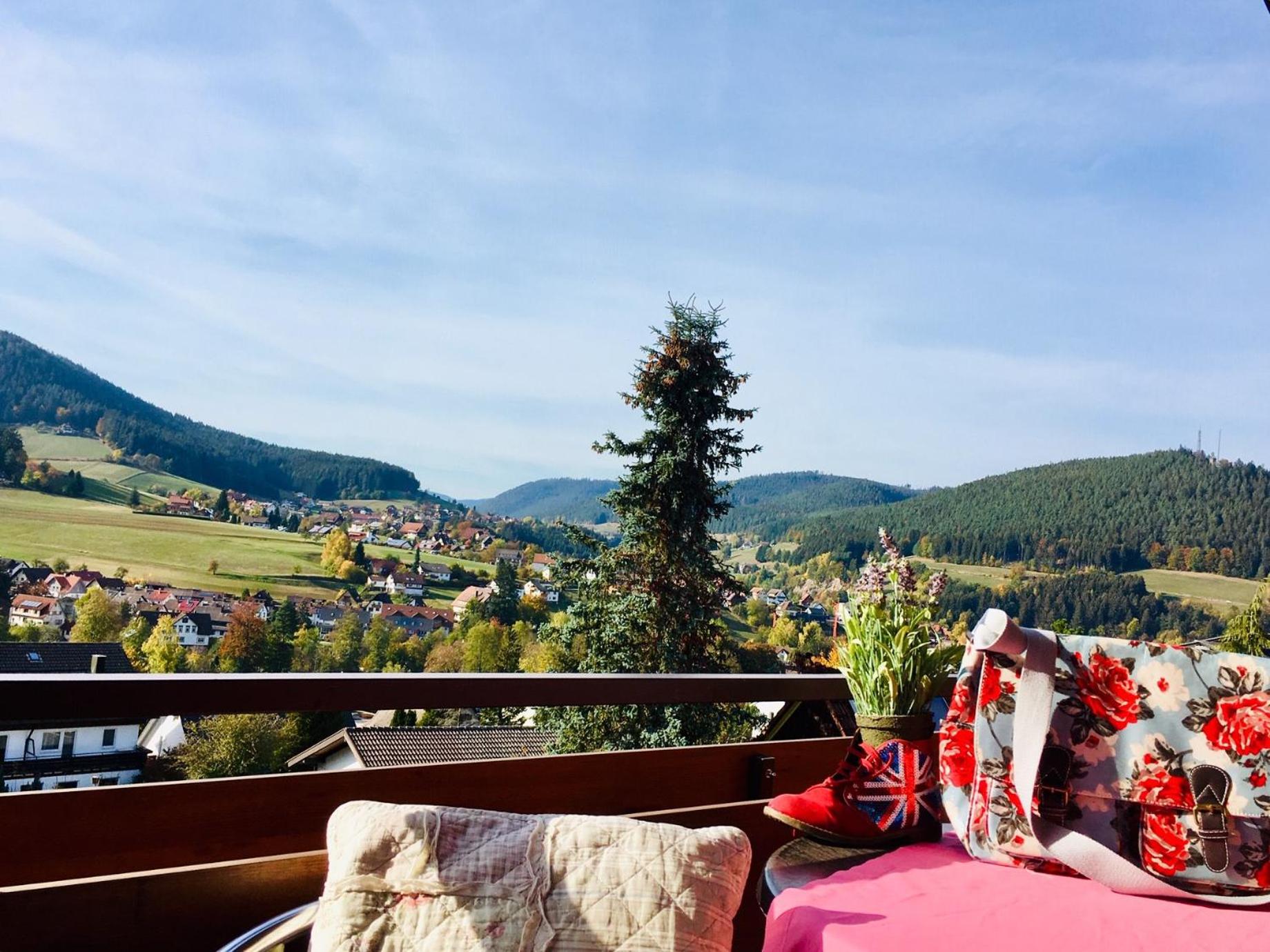Goldener Hahn B&B Ferienwohnungen Pool & Sauna near Medicenter