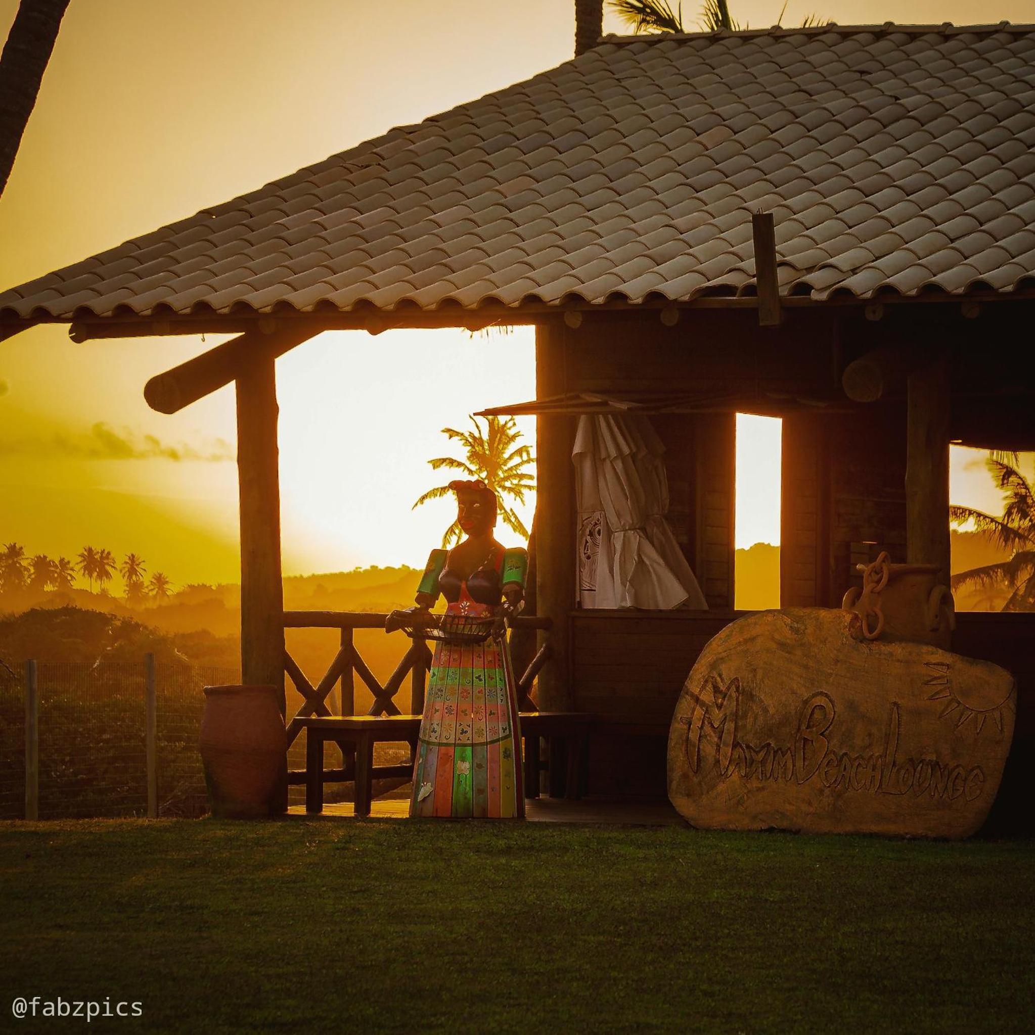 Tree Bies Resort - Oficial