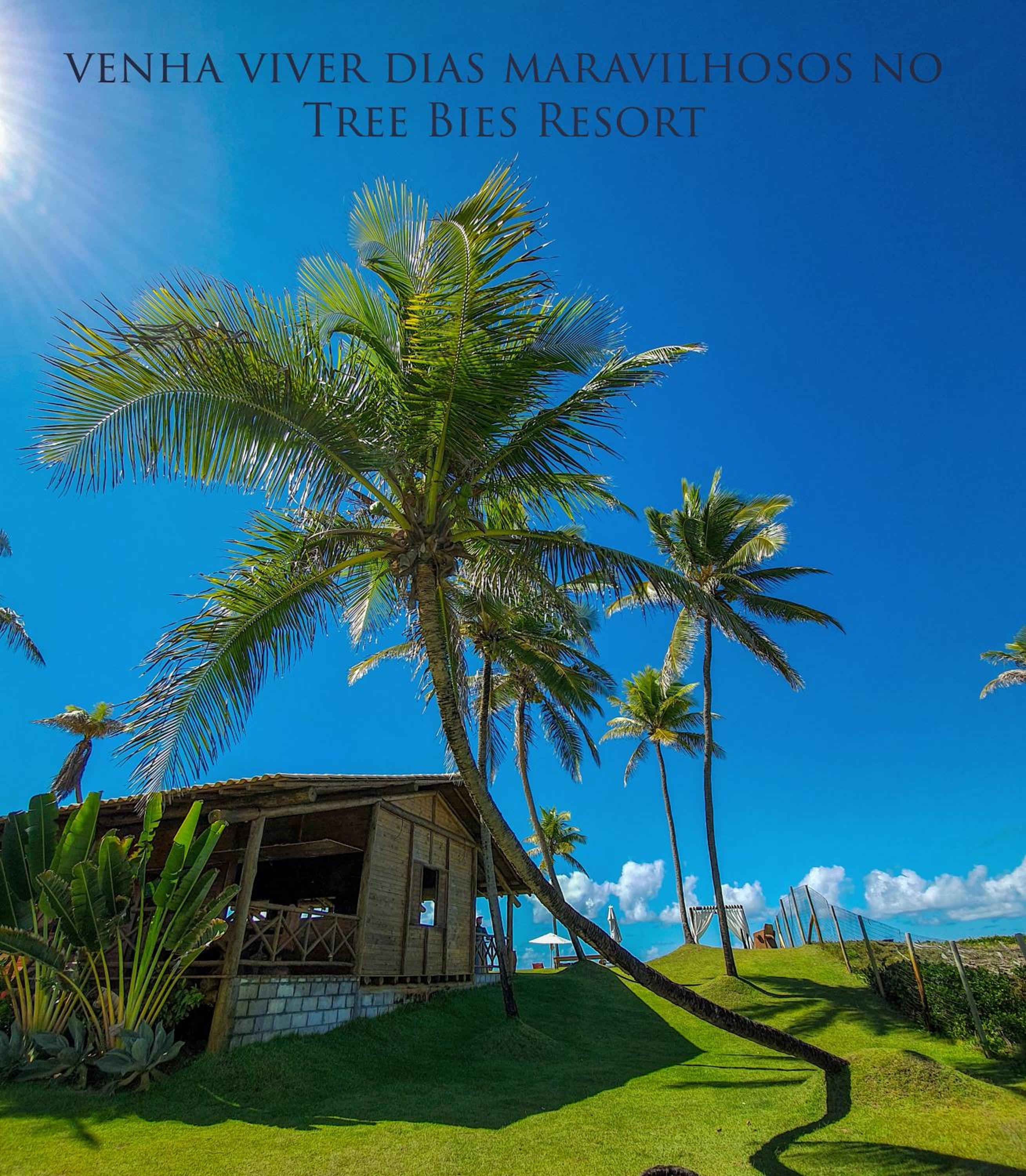 Tree Bies Resort - Oficial