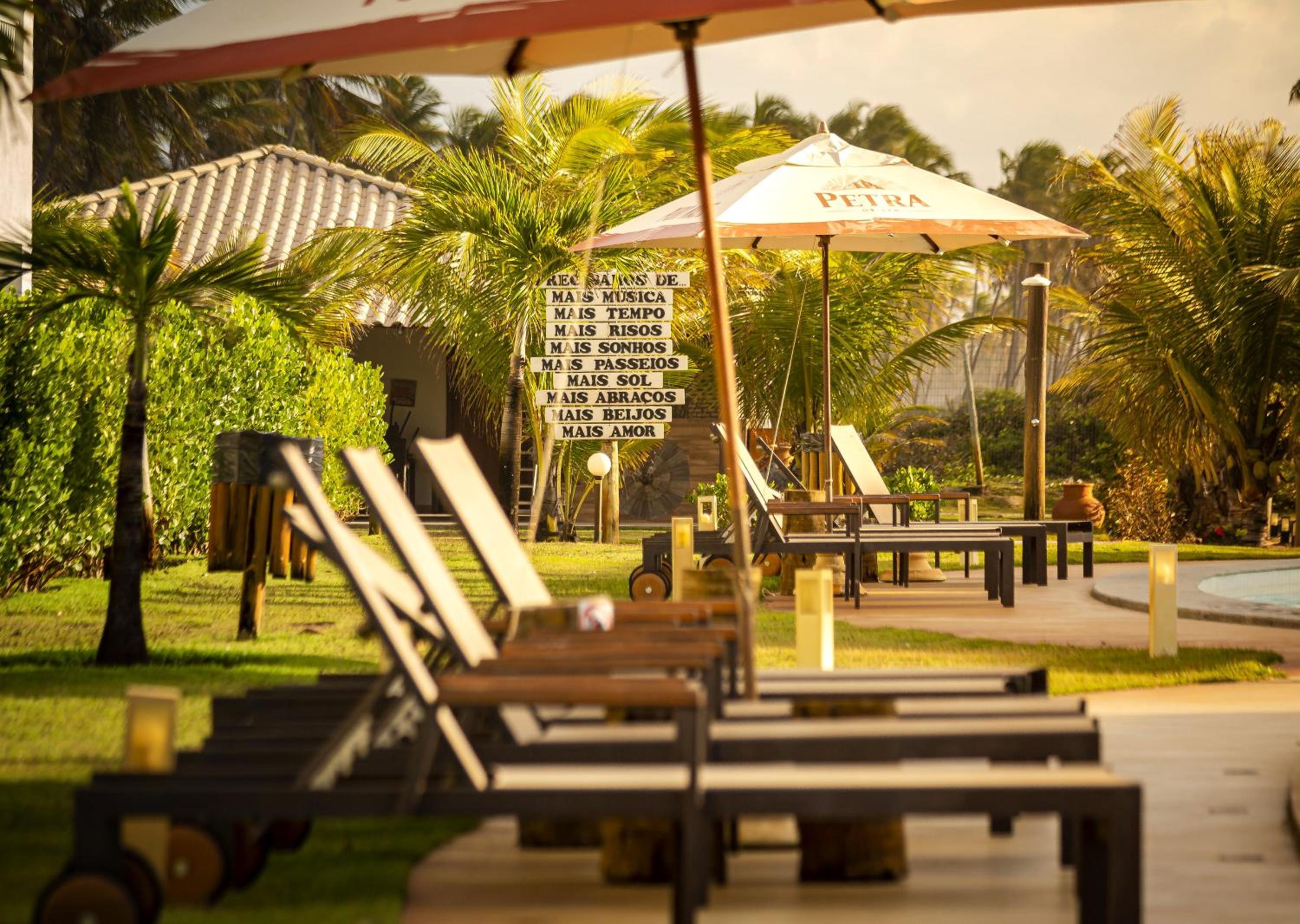 Tree Bies Resort - Oficial