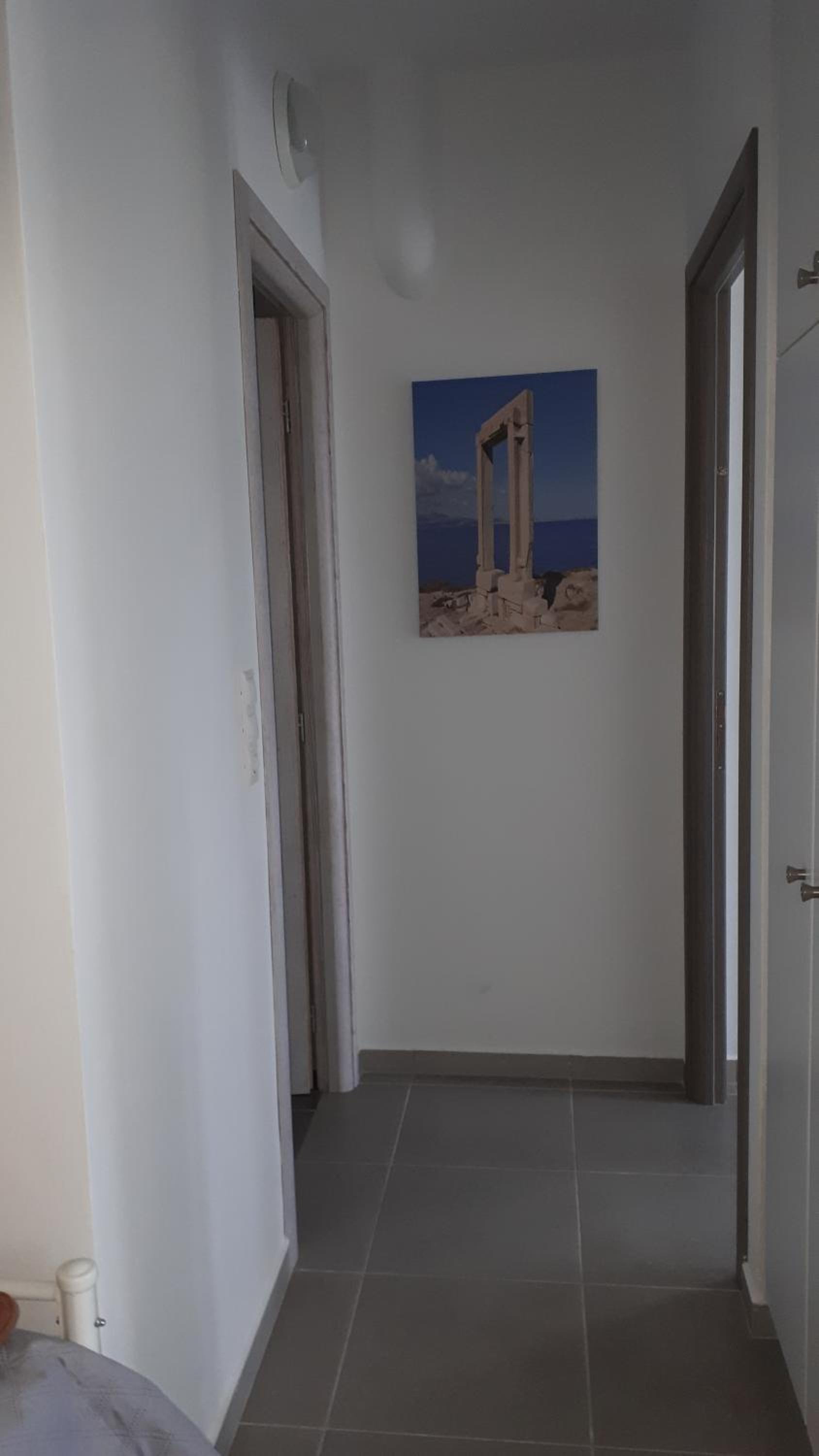 Photo 51
