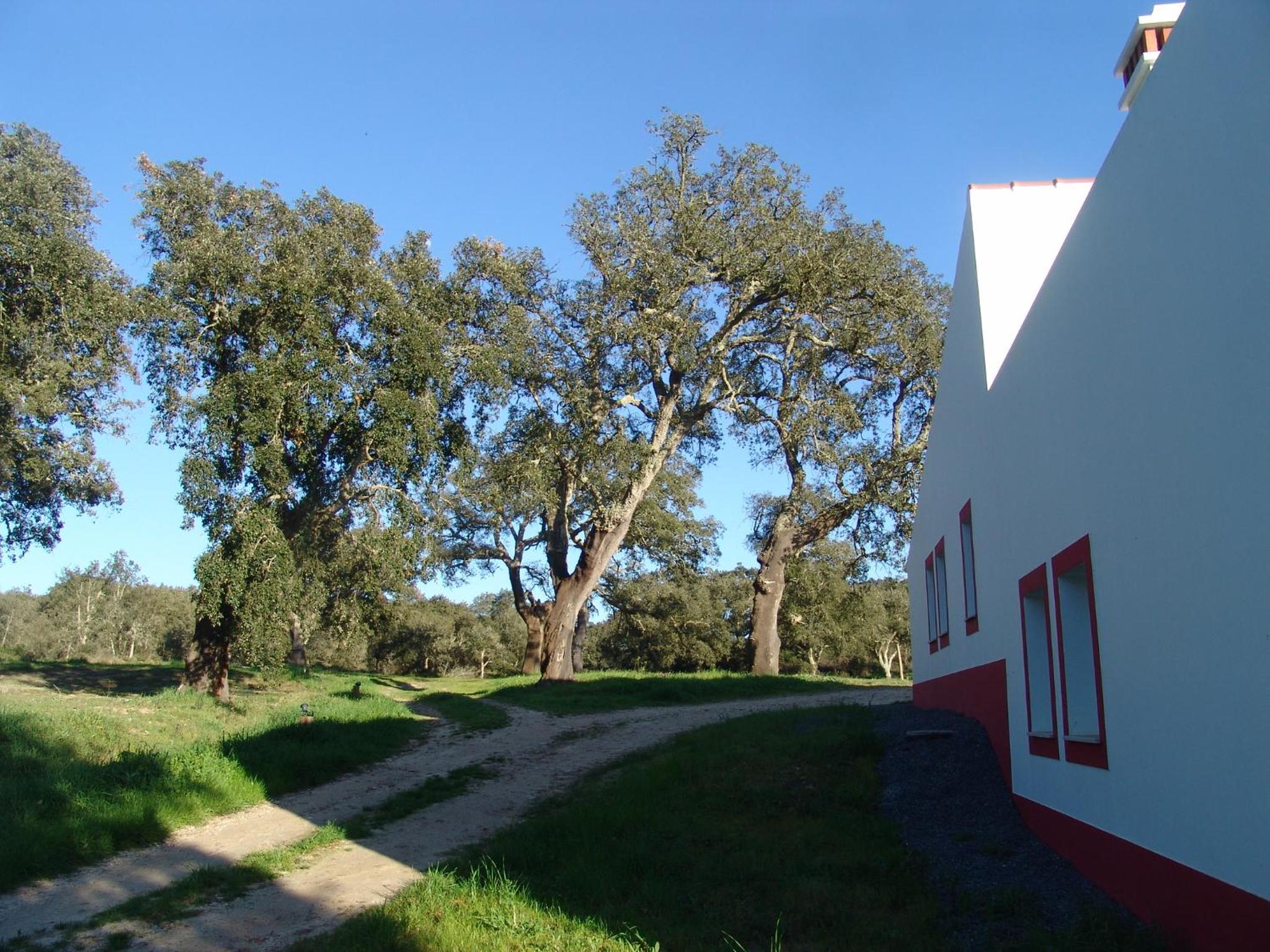 Photo 22