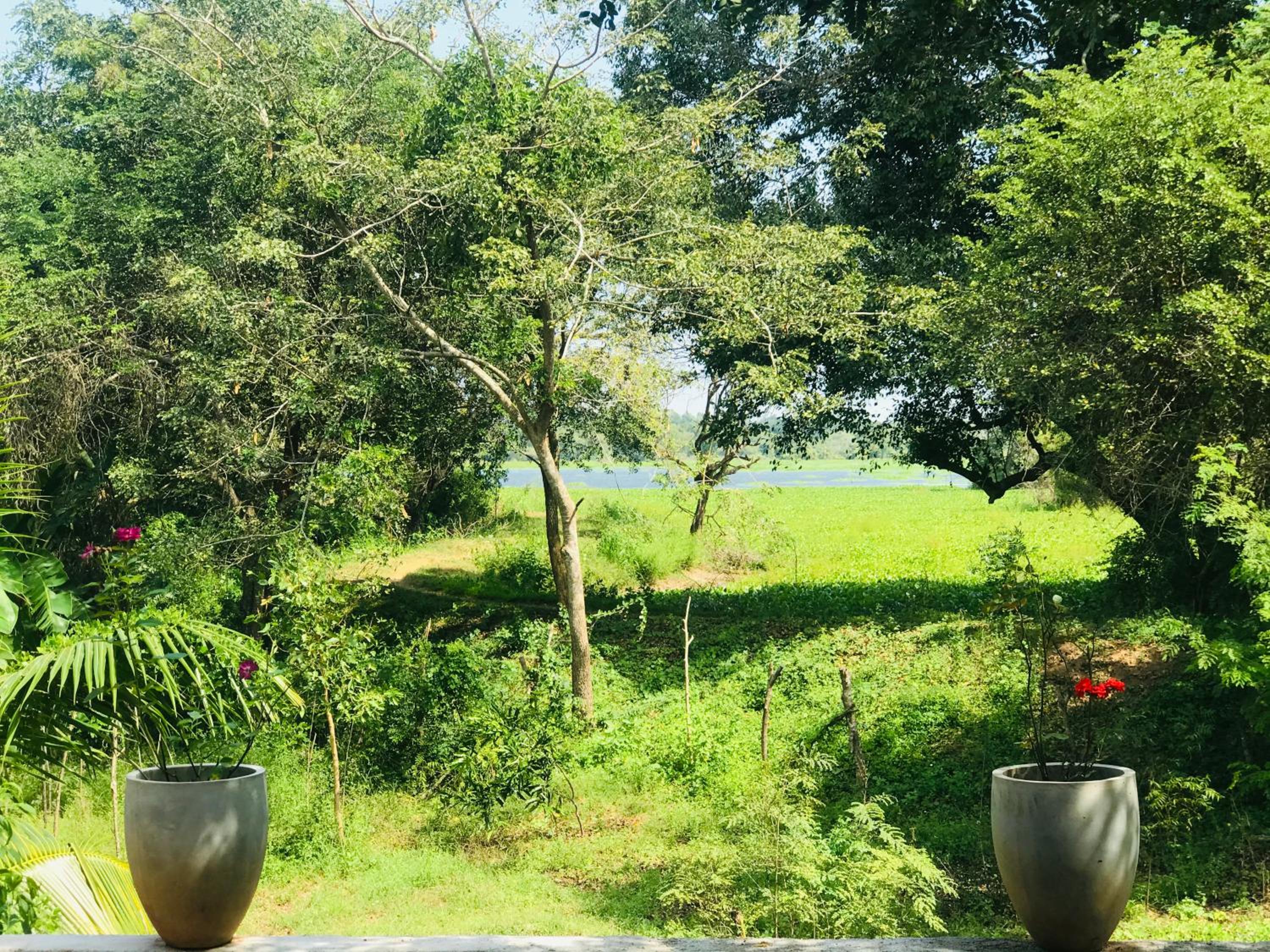 Wilpattu safari base
