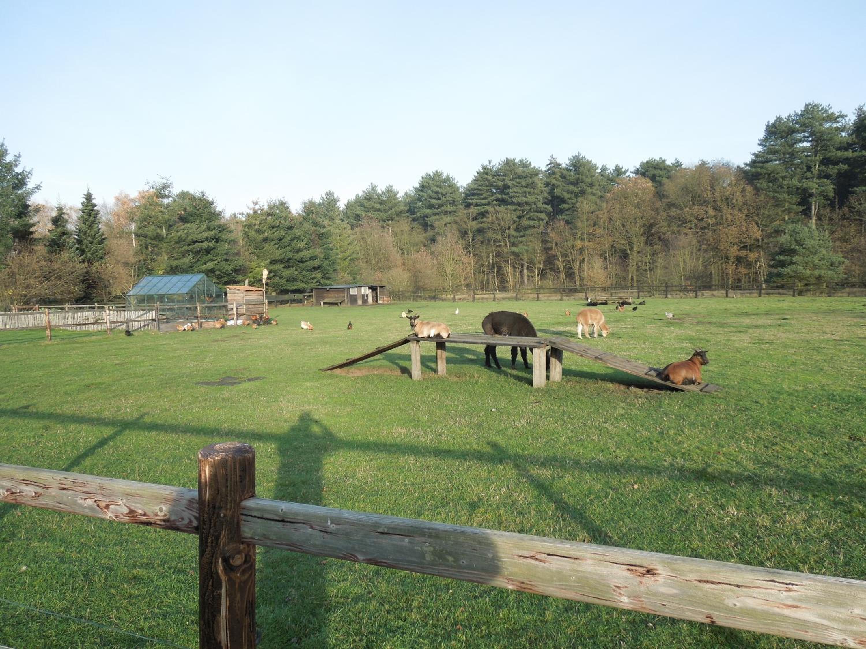 B&B De Kroonhoeve