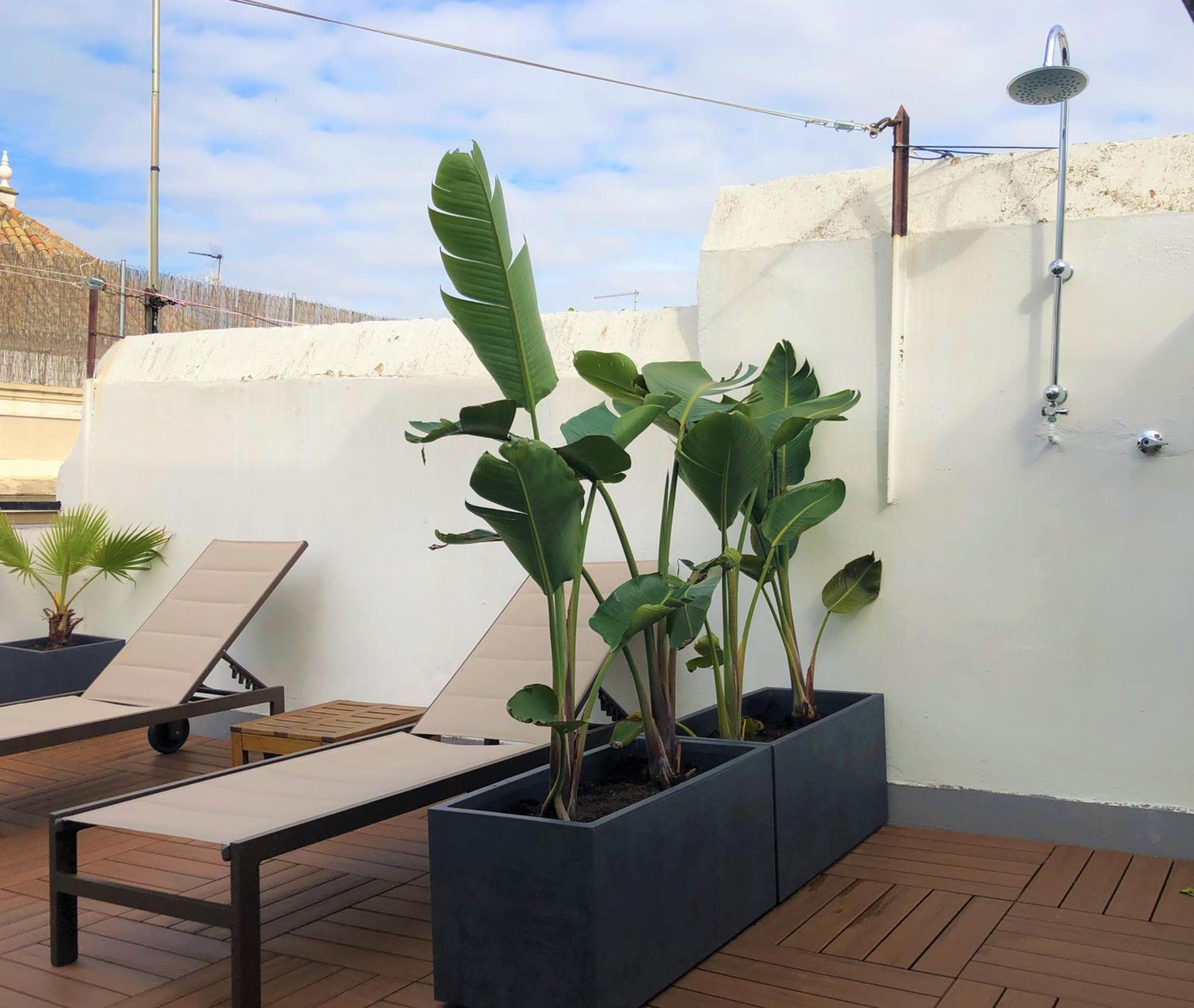 roof