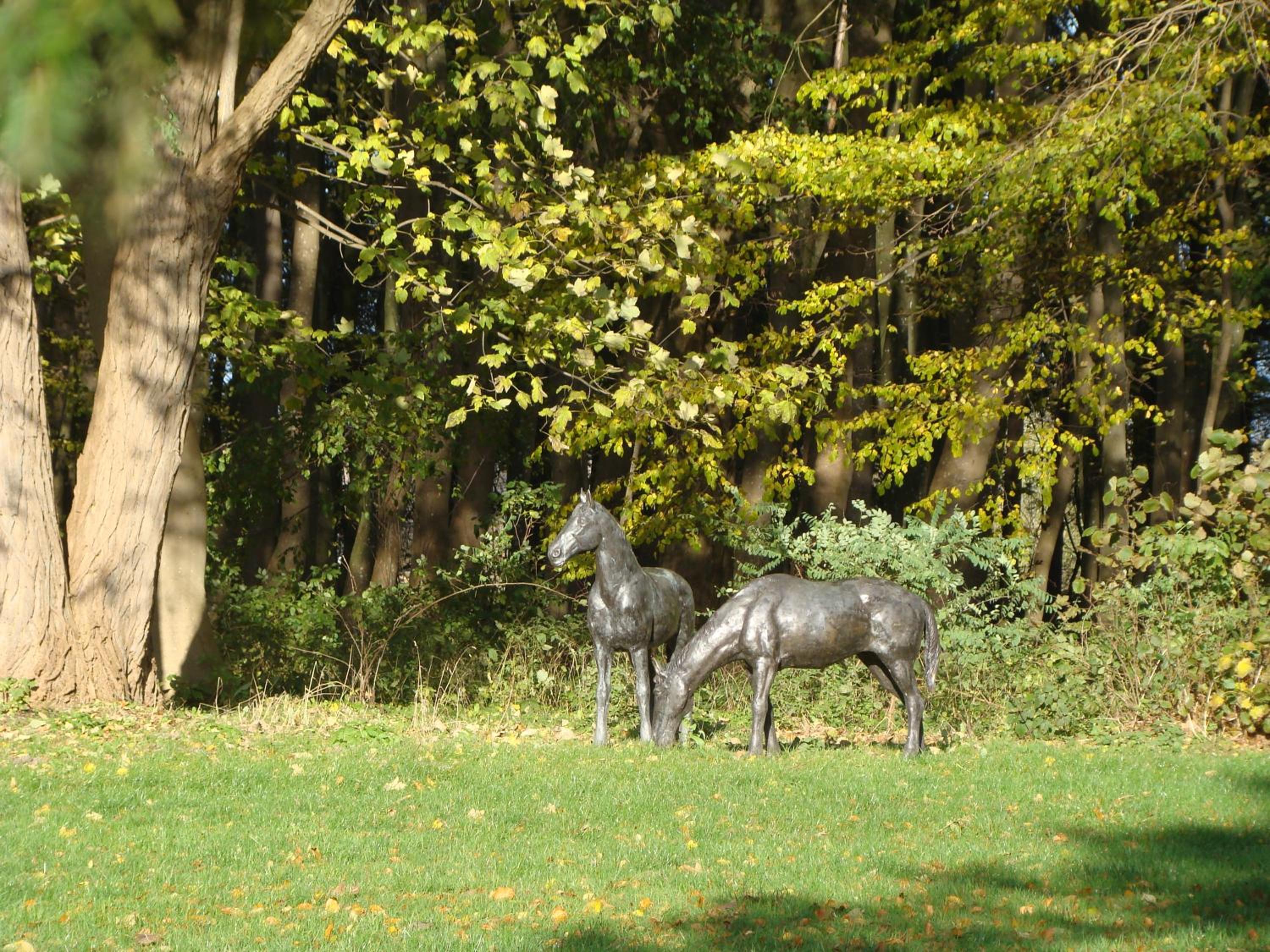 Ostsee-Gutshaus Am Salzhaff Pepelow nähe Rerik- am Meer residieren!
