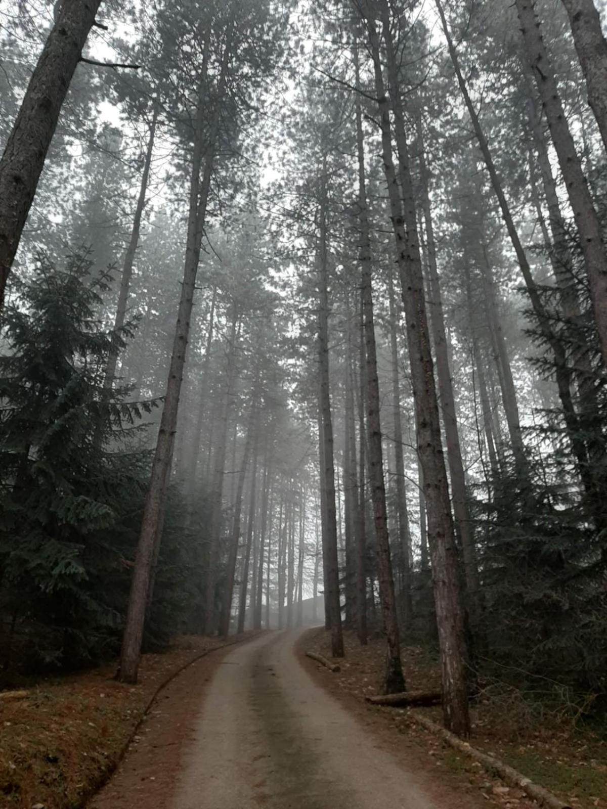 Photo 48