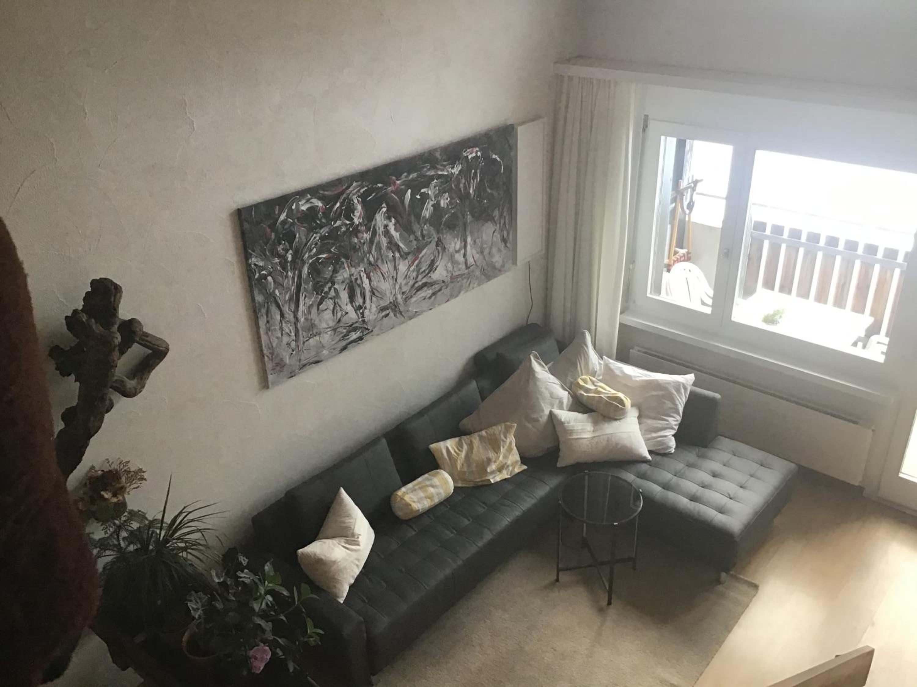 Disentiserhof view 5