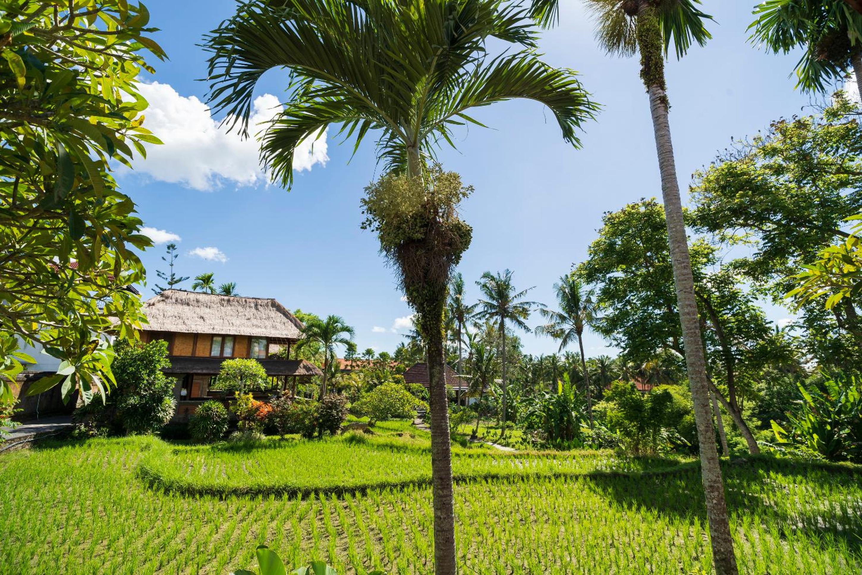 Alpin Resort and Villa Ubud