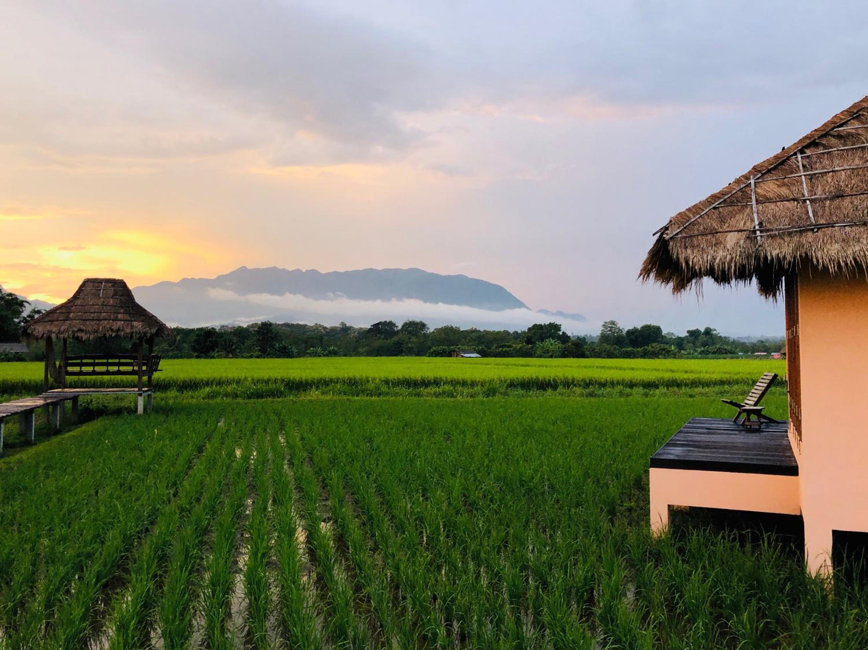 Baan Porhdoi Goidao view 5