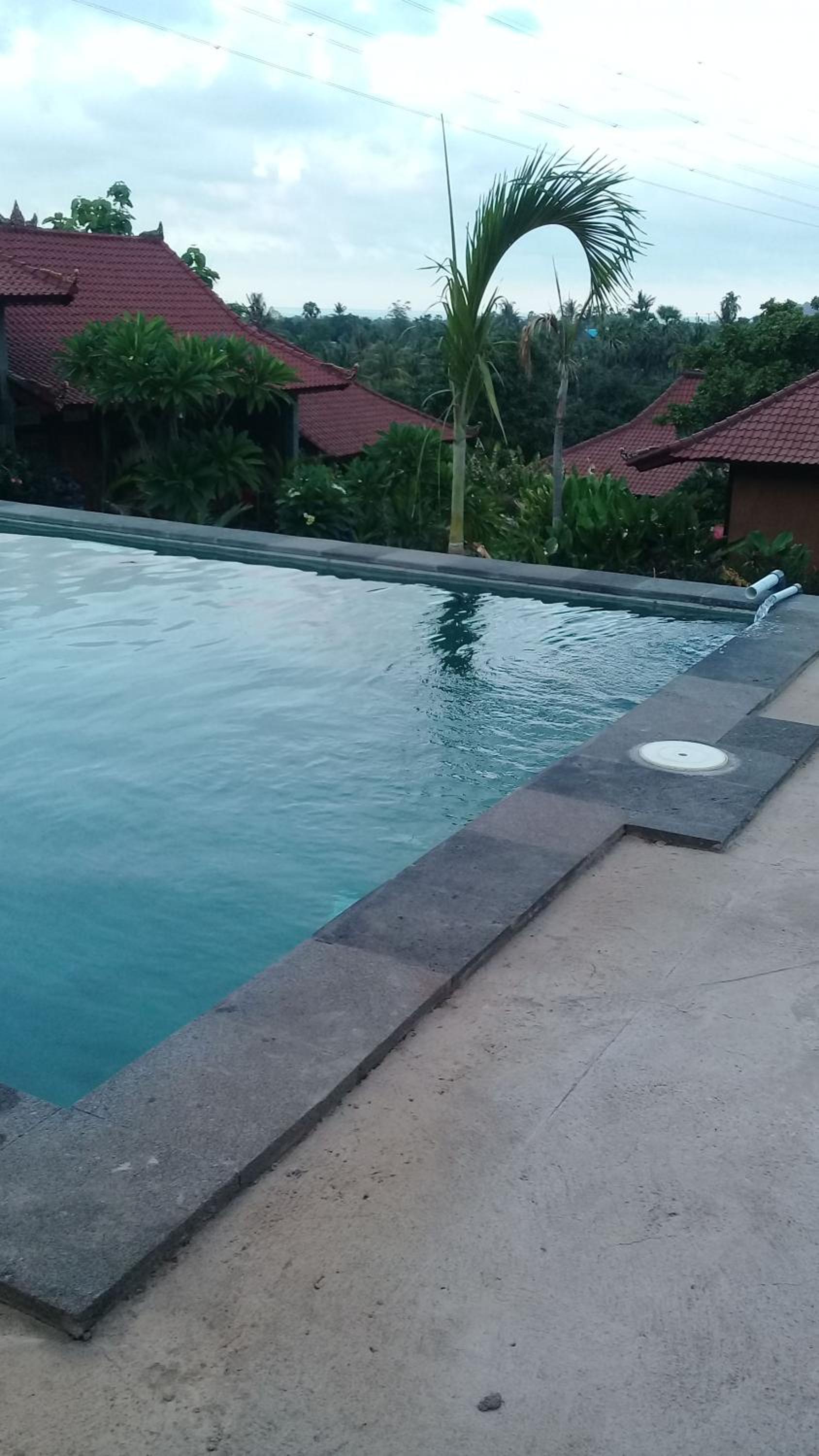 Photo 101