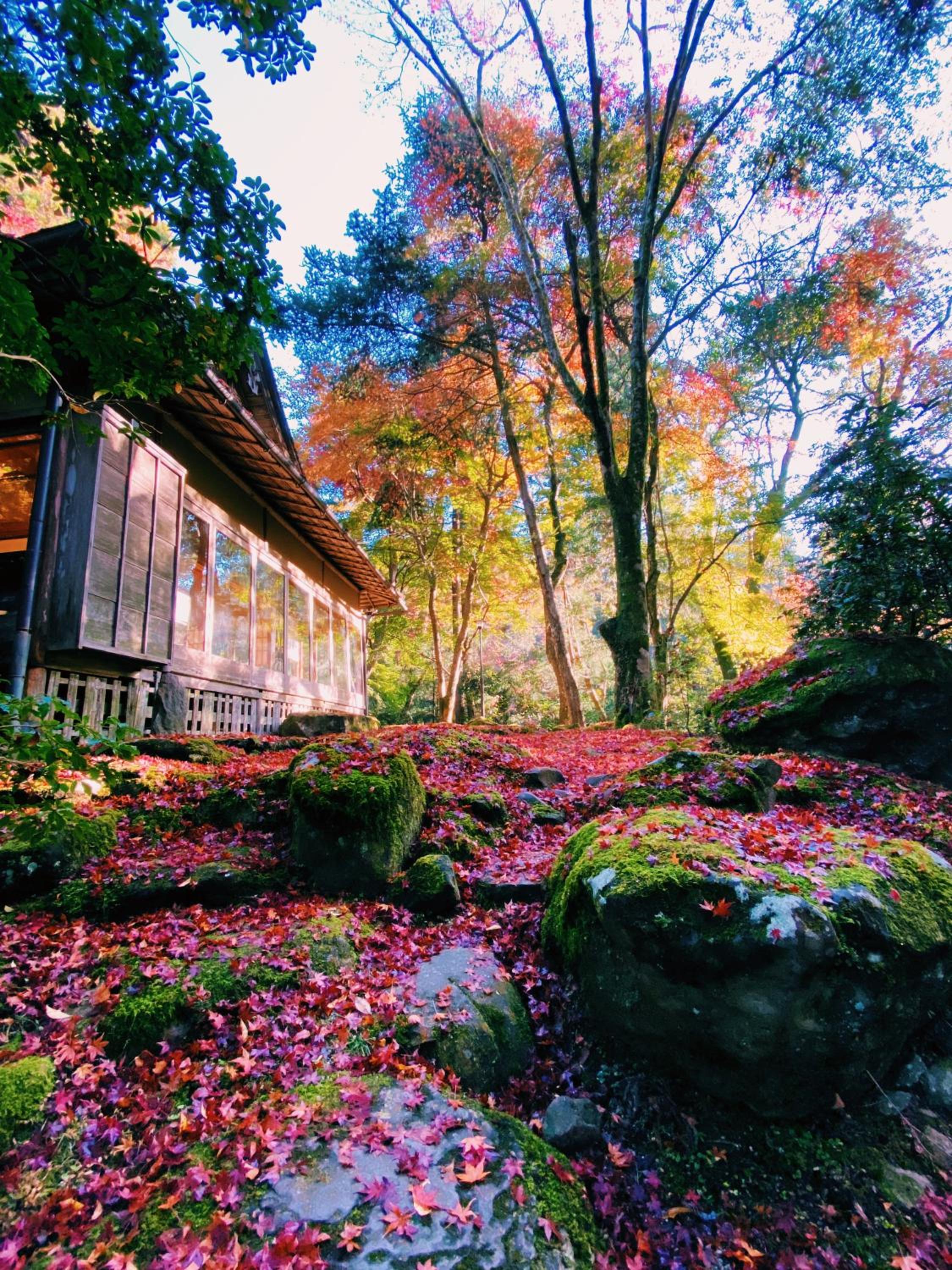 Nara Kasugaokuyama Tsukihitei, Nara - 15
