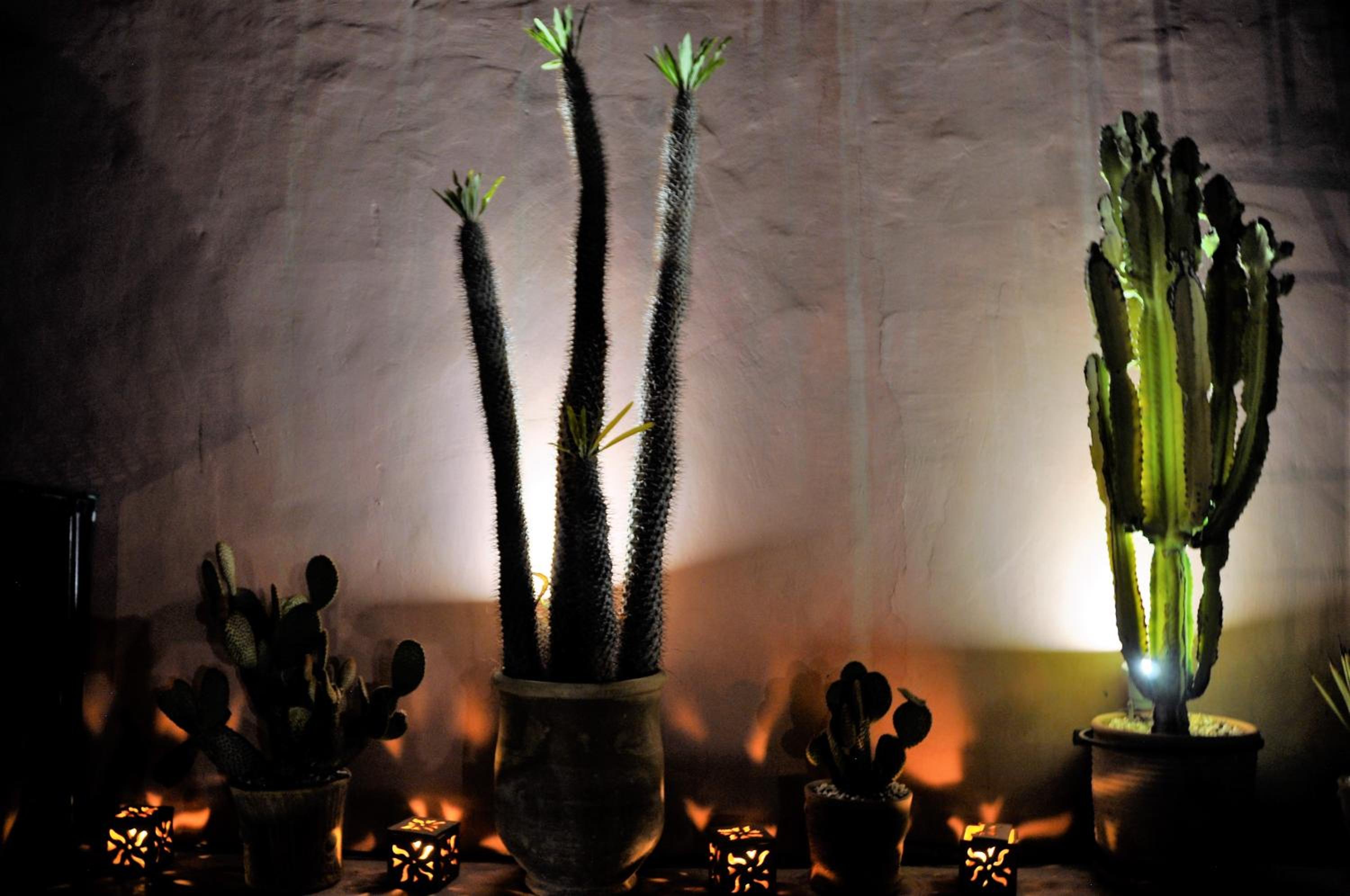 Riad l'Escale de Marrakech
