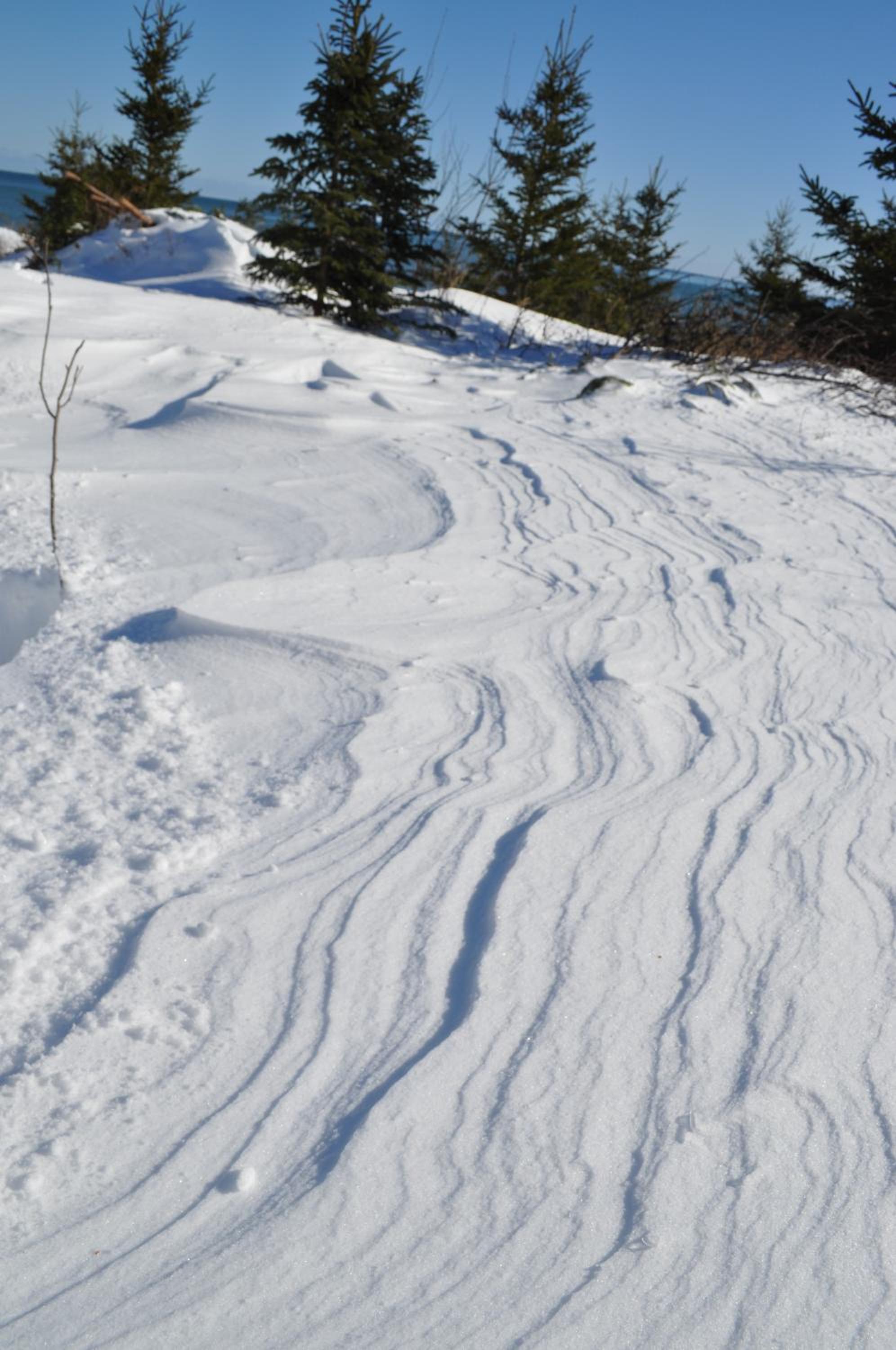 Photo 56