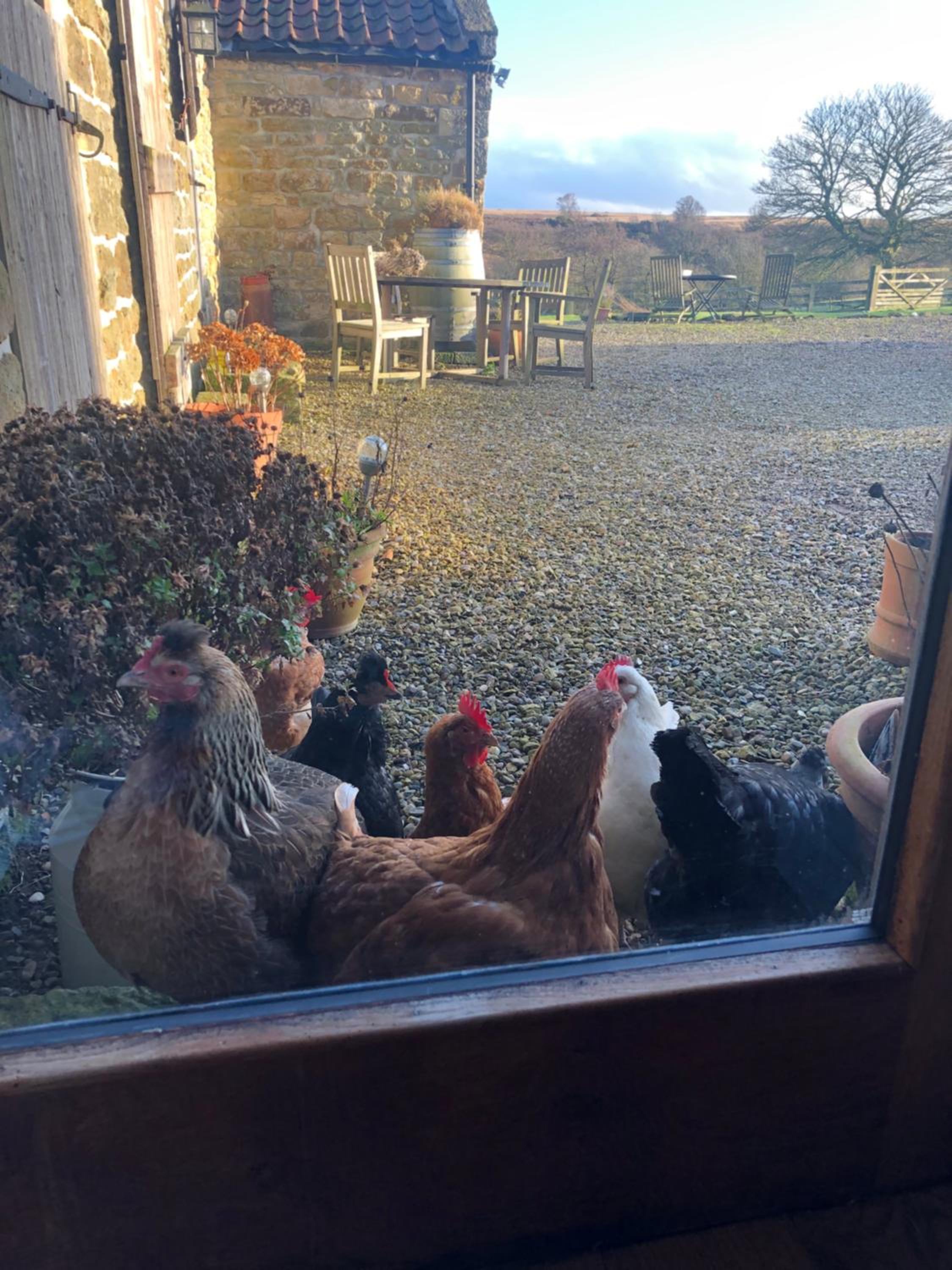 Folly Hall Farm