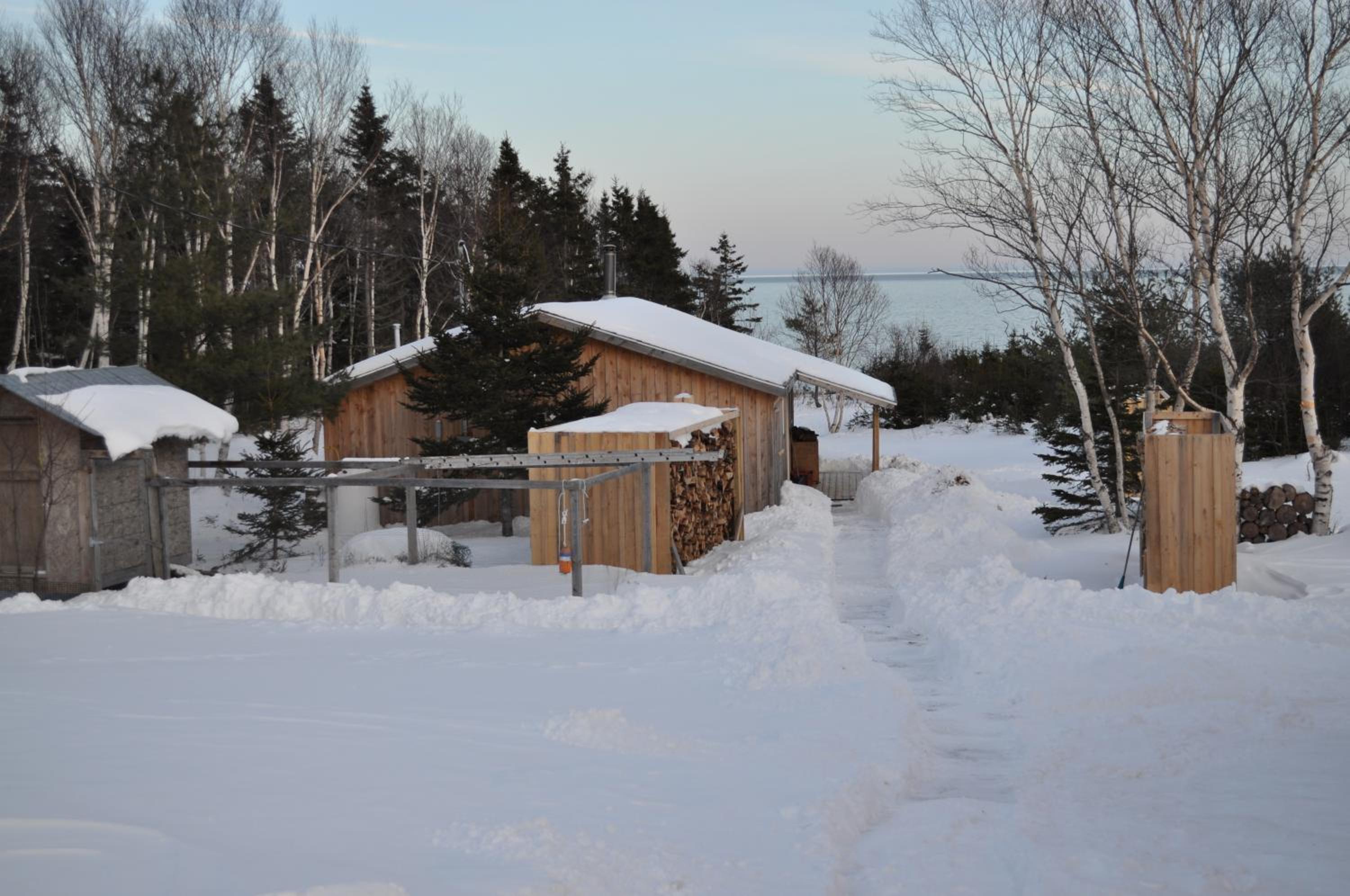 Photo 48