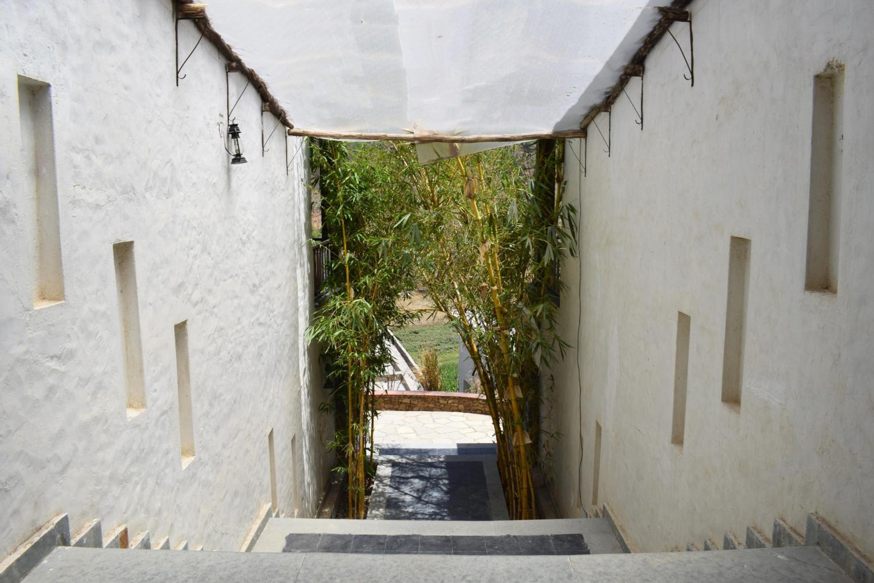 Kumbhalgarh Forest Retreat