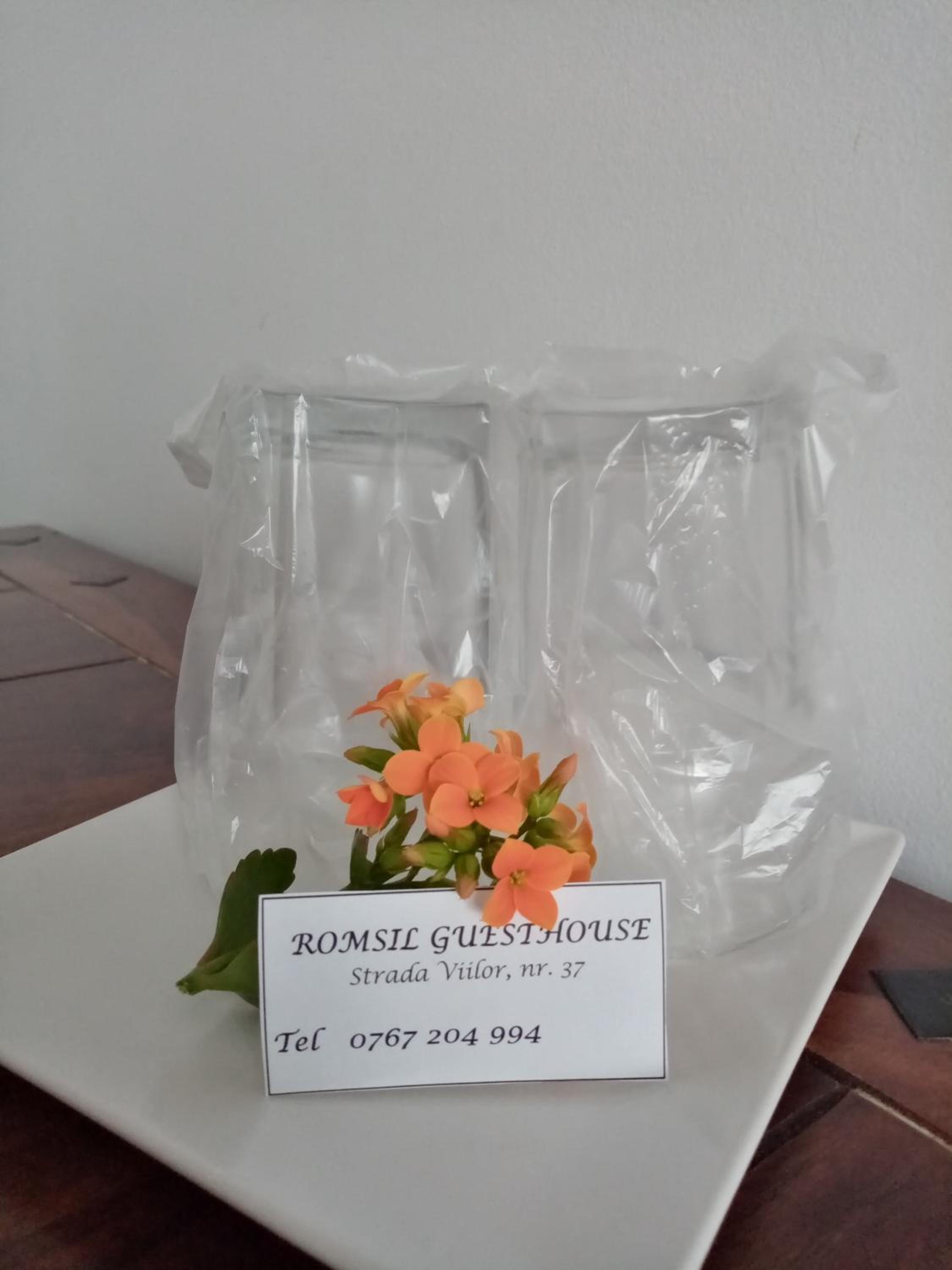 ROMSIL GUESTHOUSE view 3
