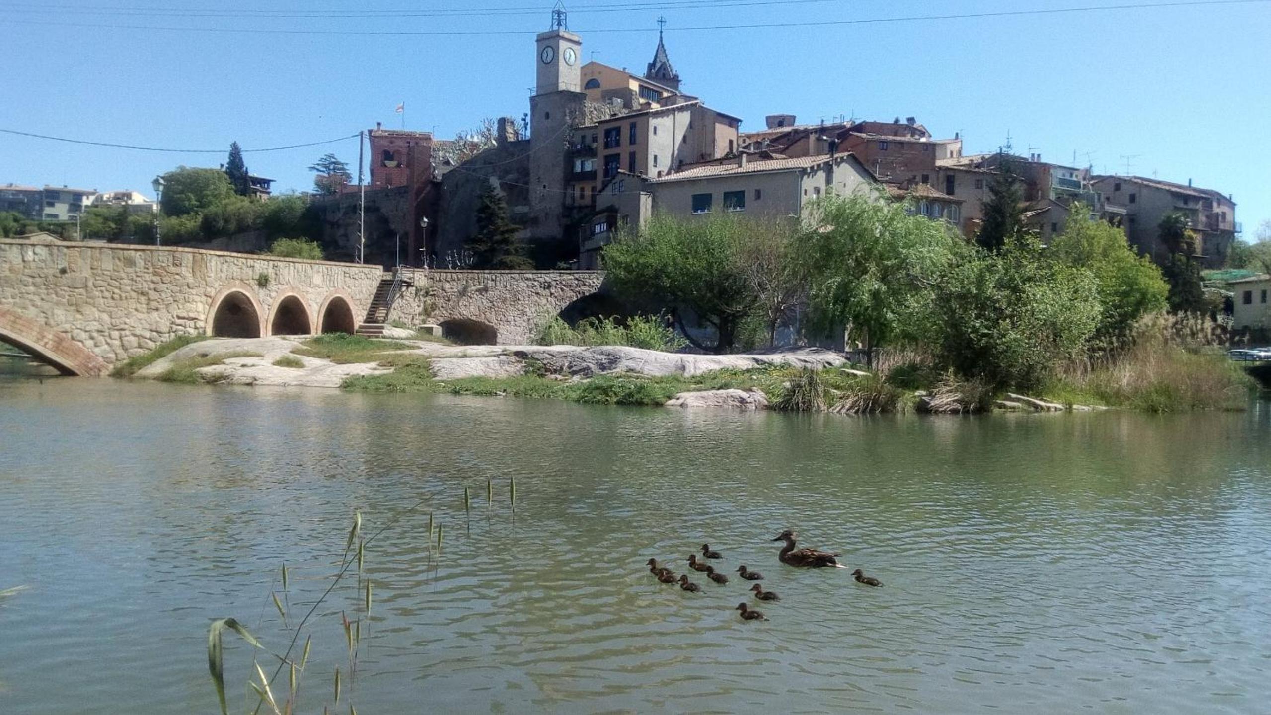 Casa i Colla view 5