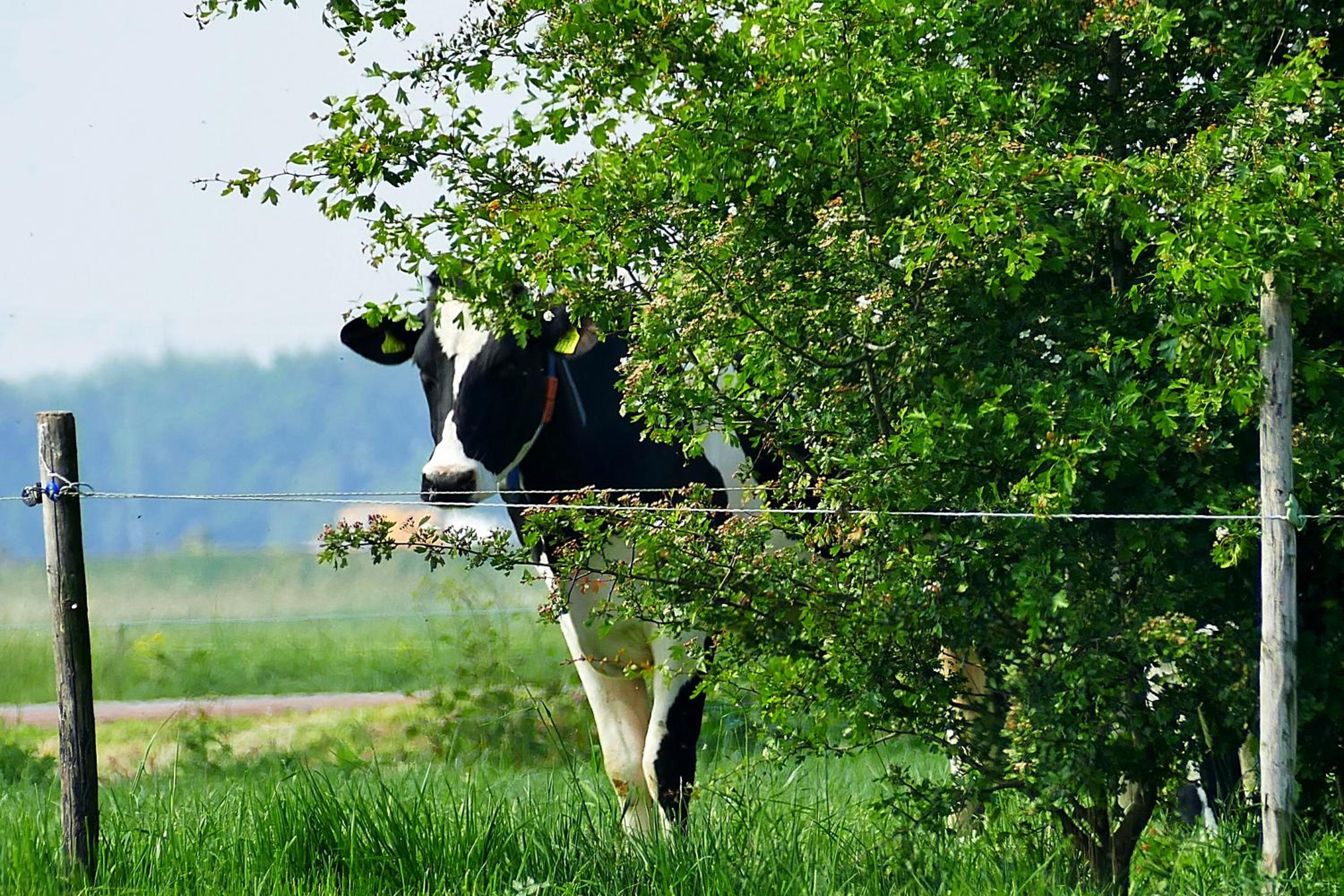 Boerderij Zonneveld