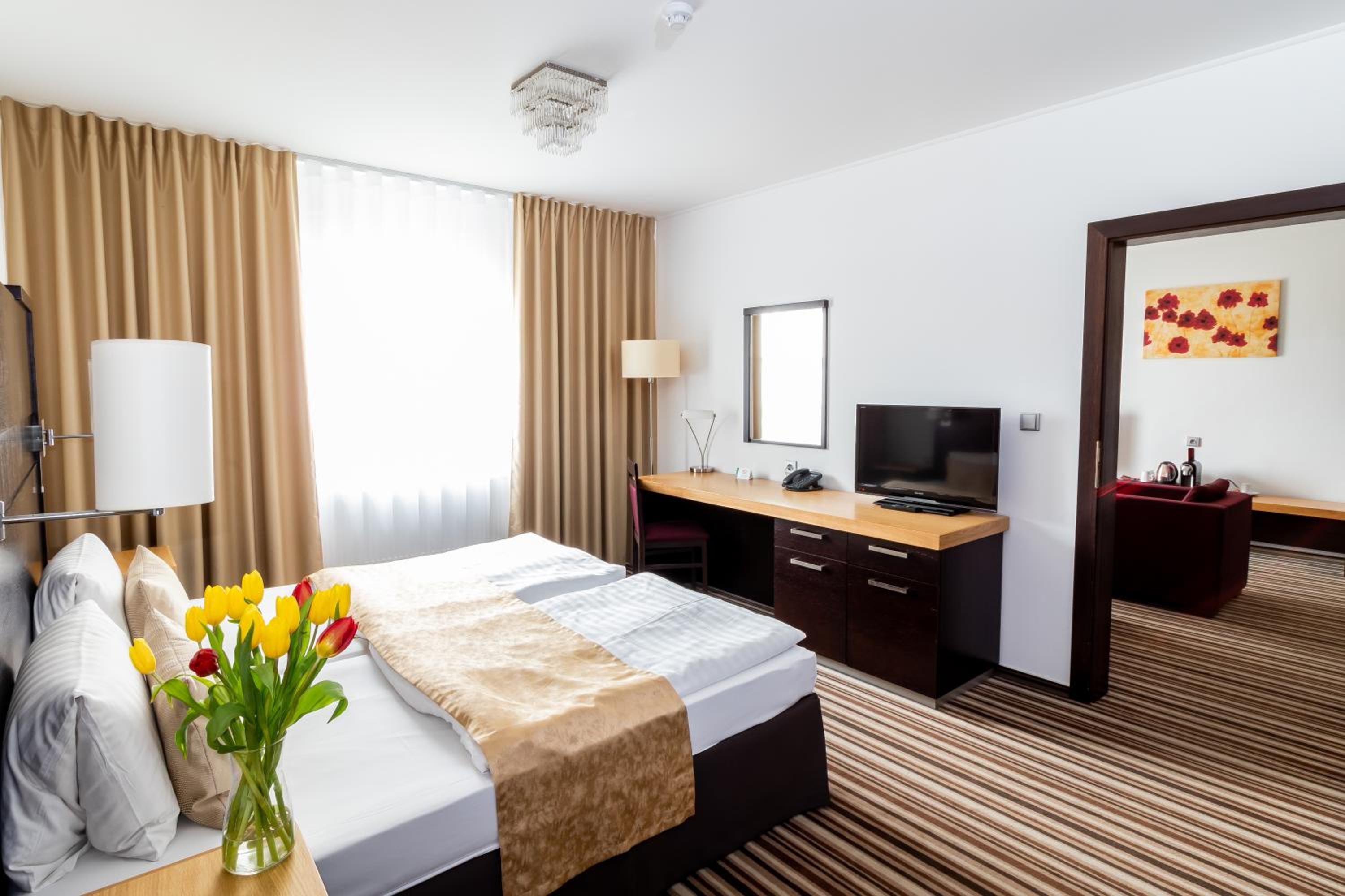 Parkhotel Plzen Congress Center - Property Image 6