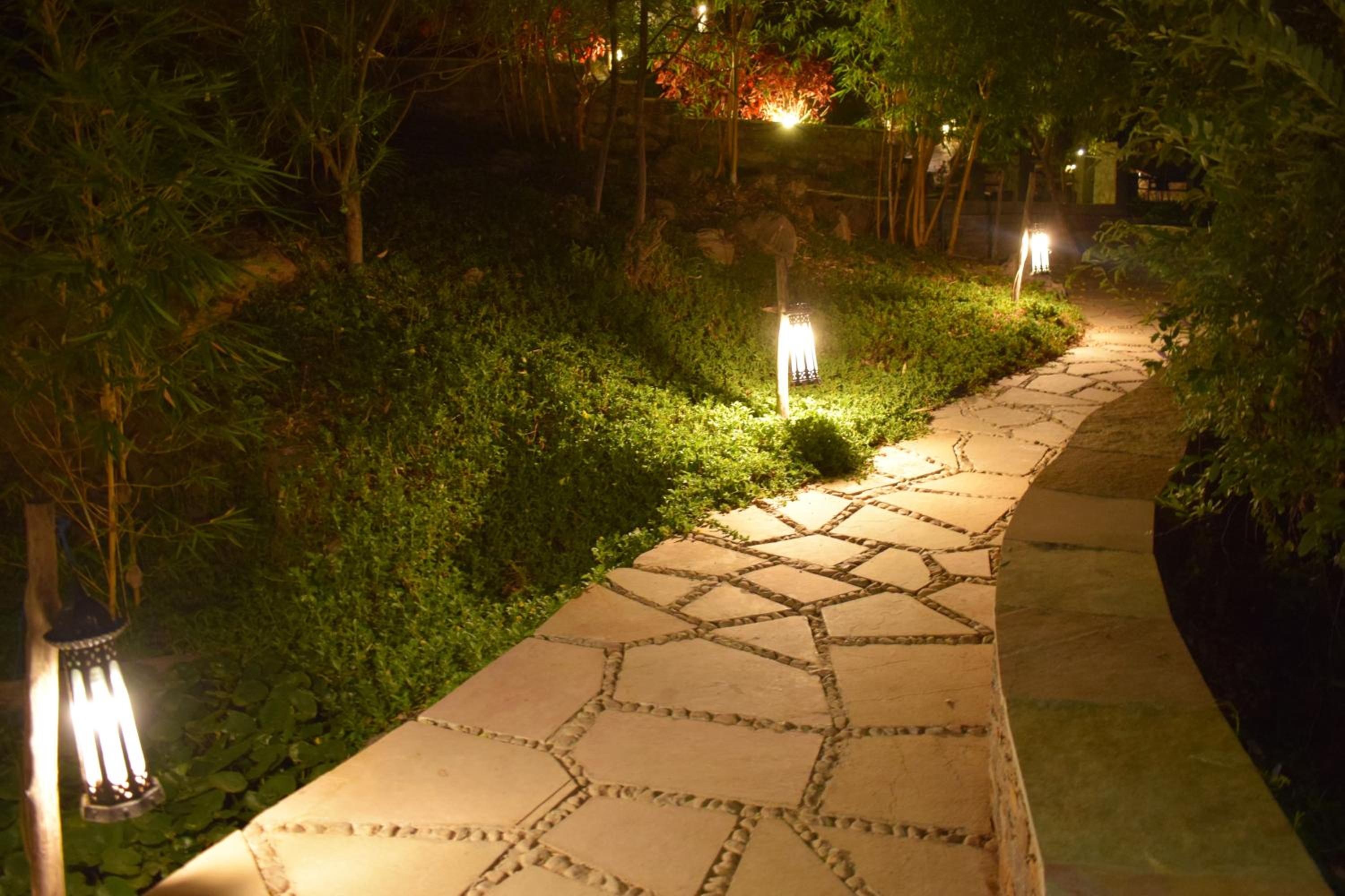Kumbhalgarh Forest Retreat