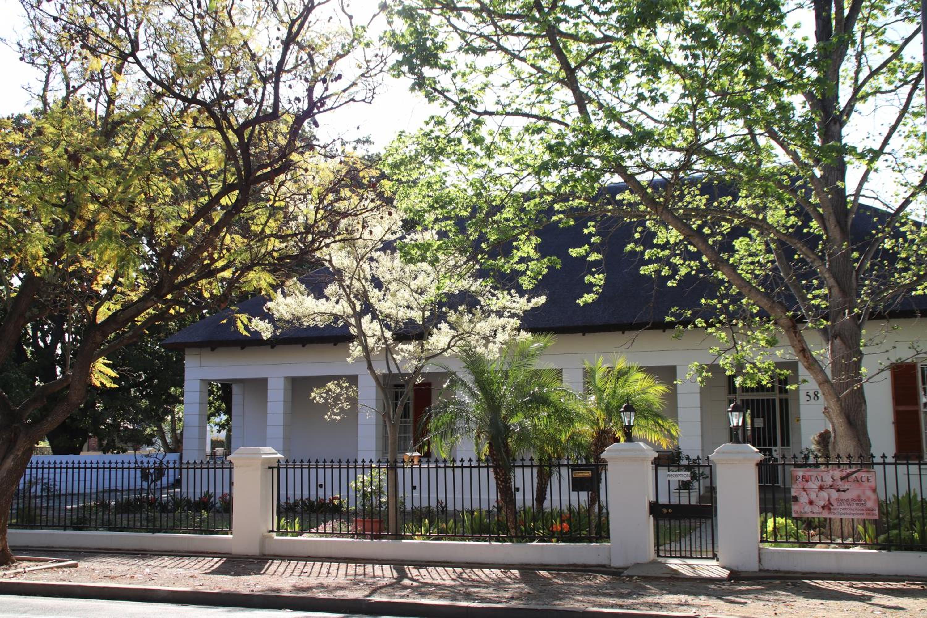Petal's Place