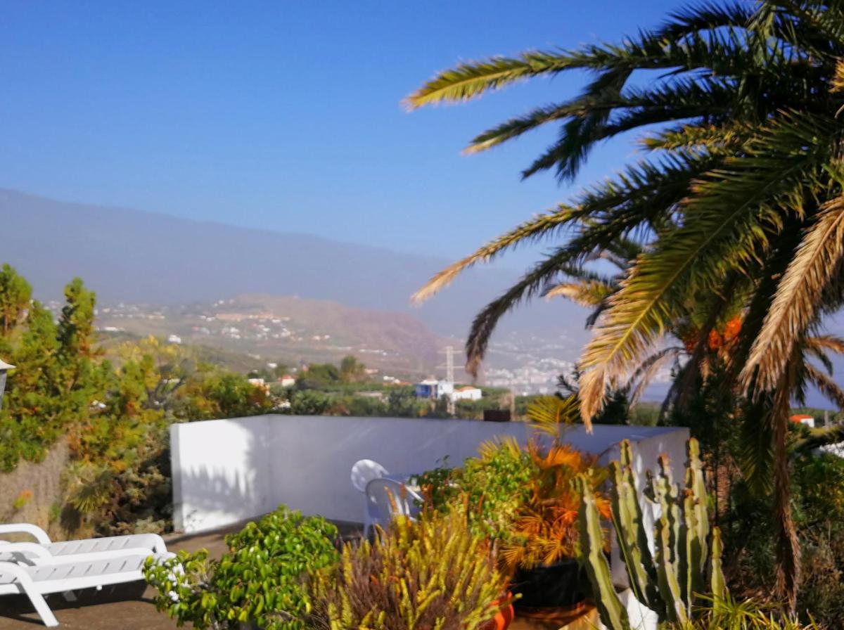 Under the Palm-trees photo 2