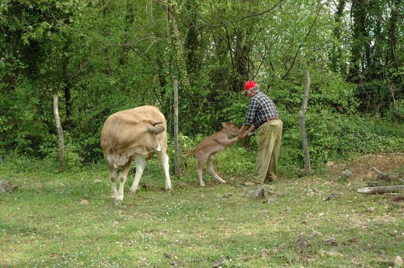 Photo 24