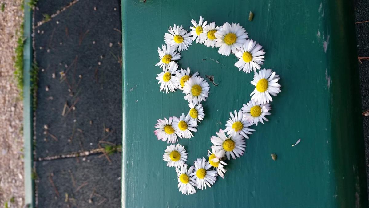 Hotel Family apartment Pikolo - Image 1