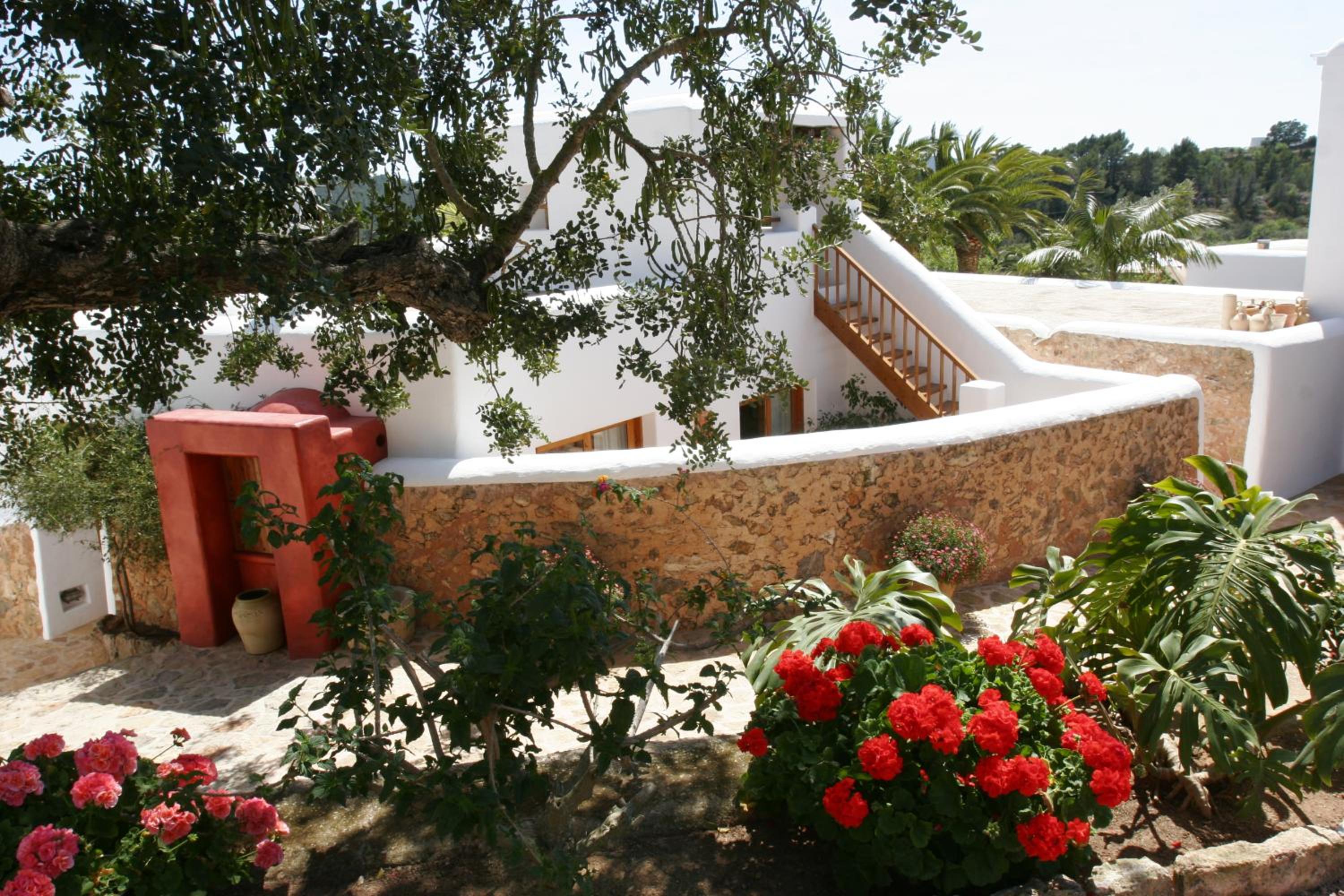 Photo 40