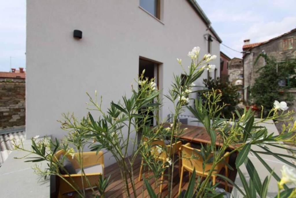 CONTEMPORARY HOUSE PADNA view 5
