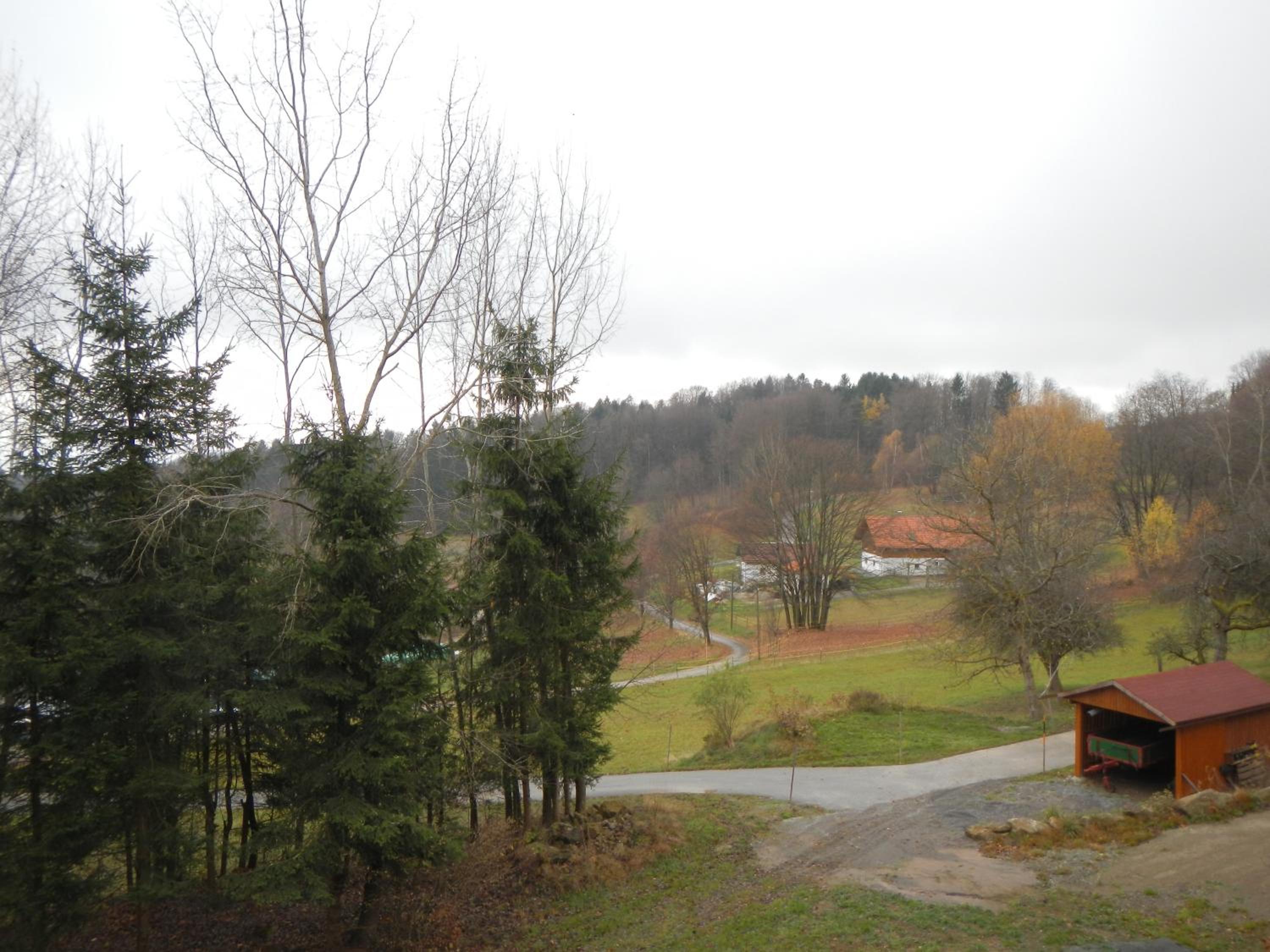 Ferienwohnung Waldoase am Fuchsenstein view 3