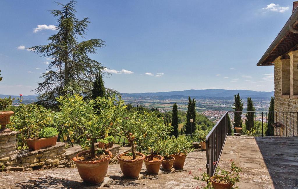 Danya Country Villa view 2