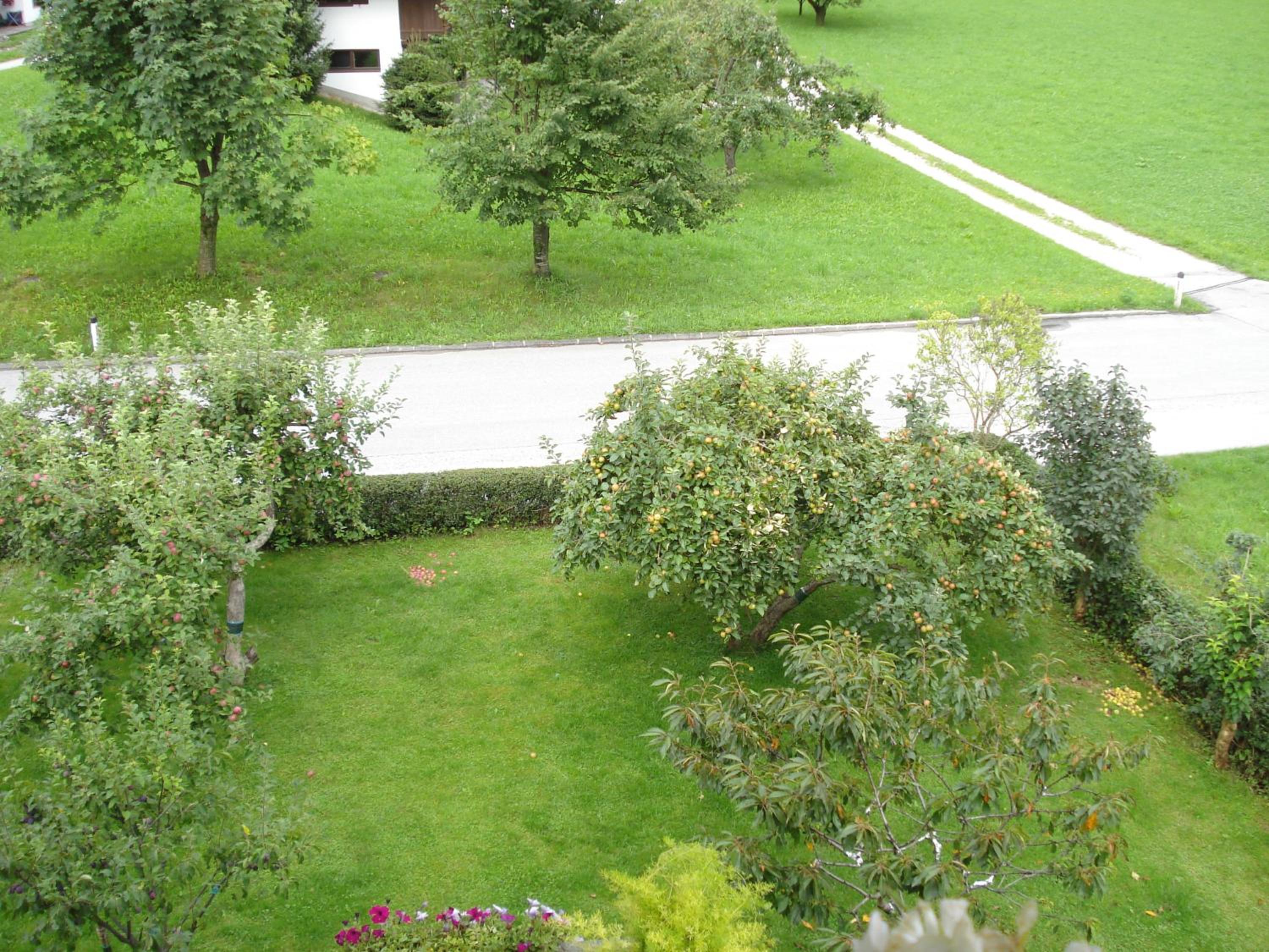 Photo 26
