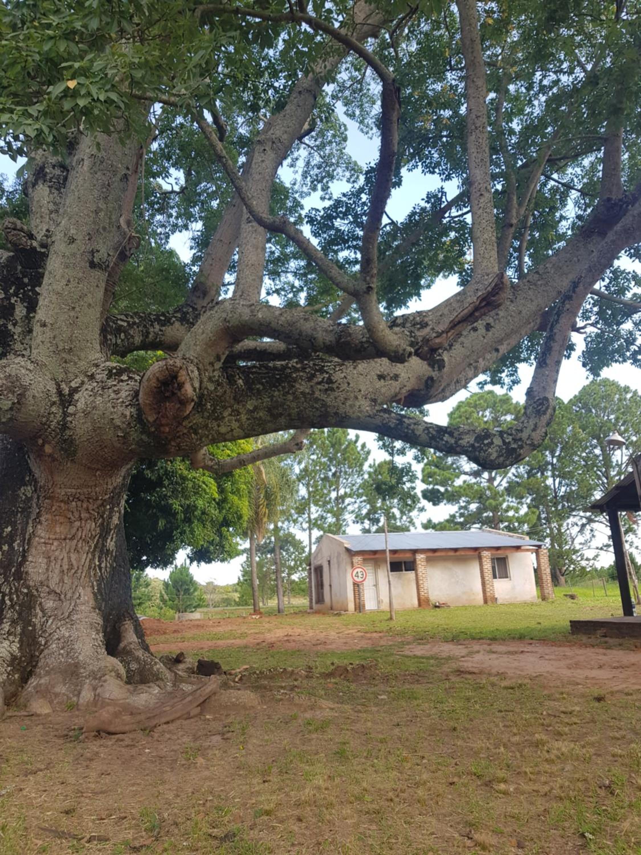Chacra mita í