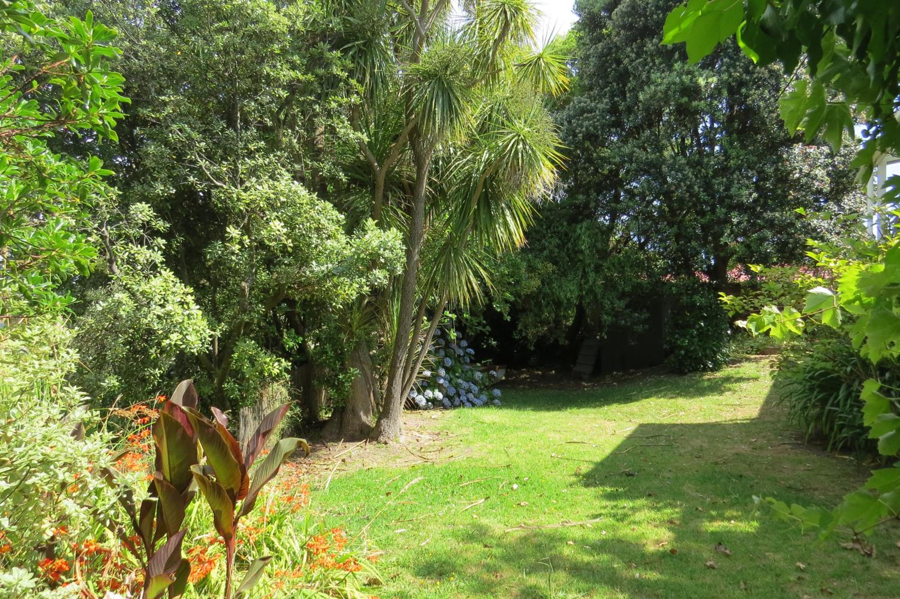 Photo 10