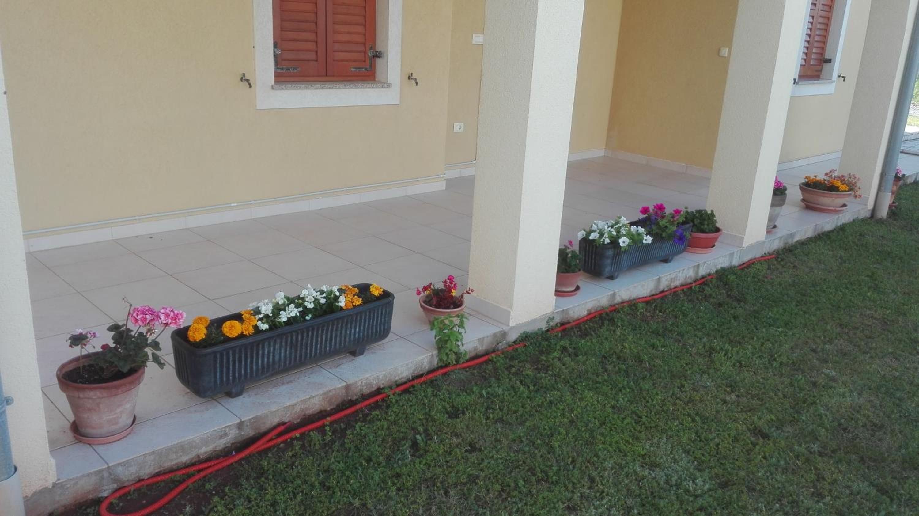 Apartment Barba view 5