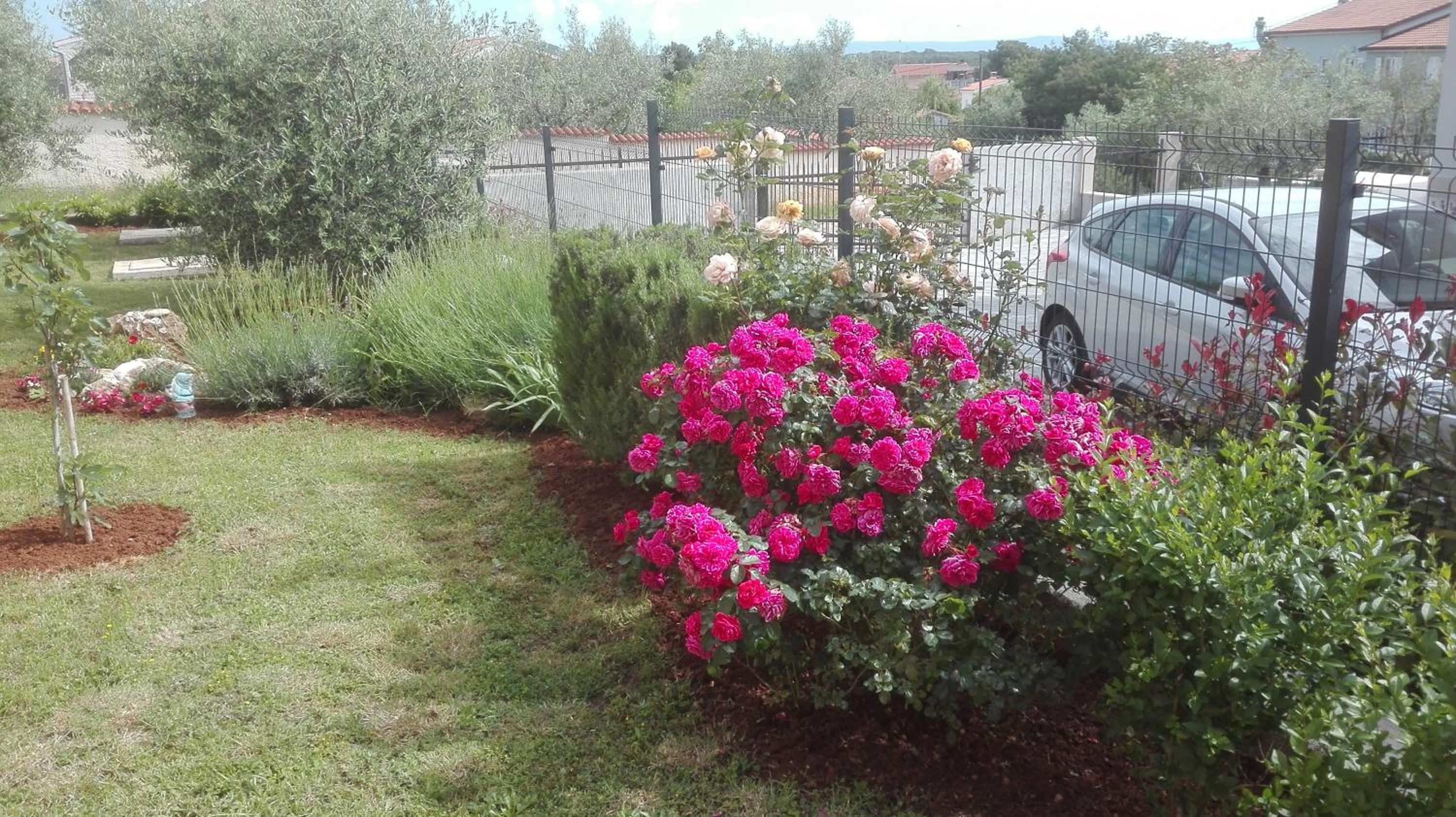 Photo 6