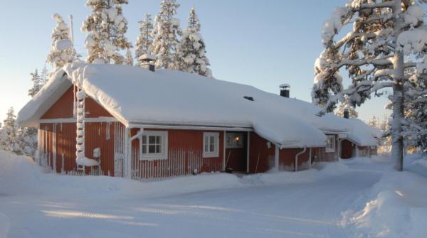 Photo 41