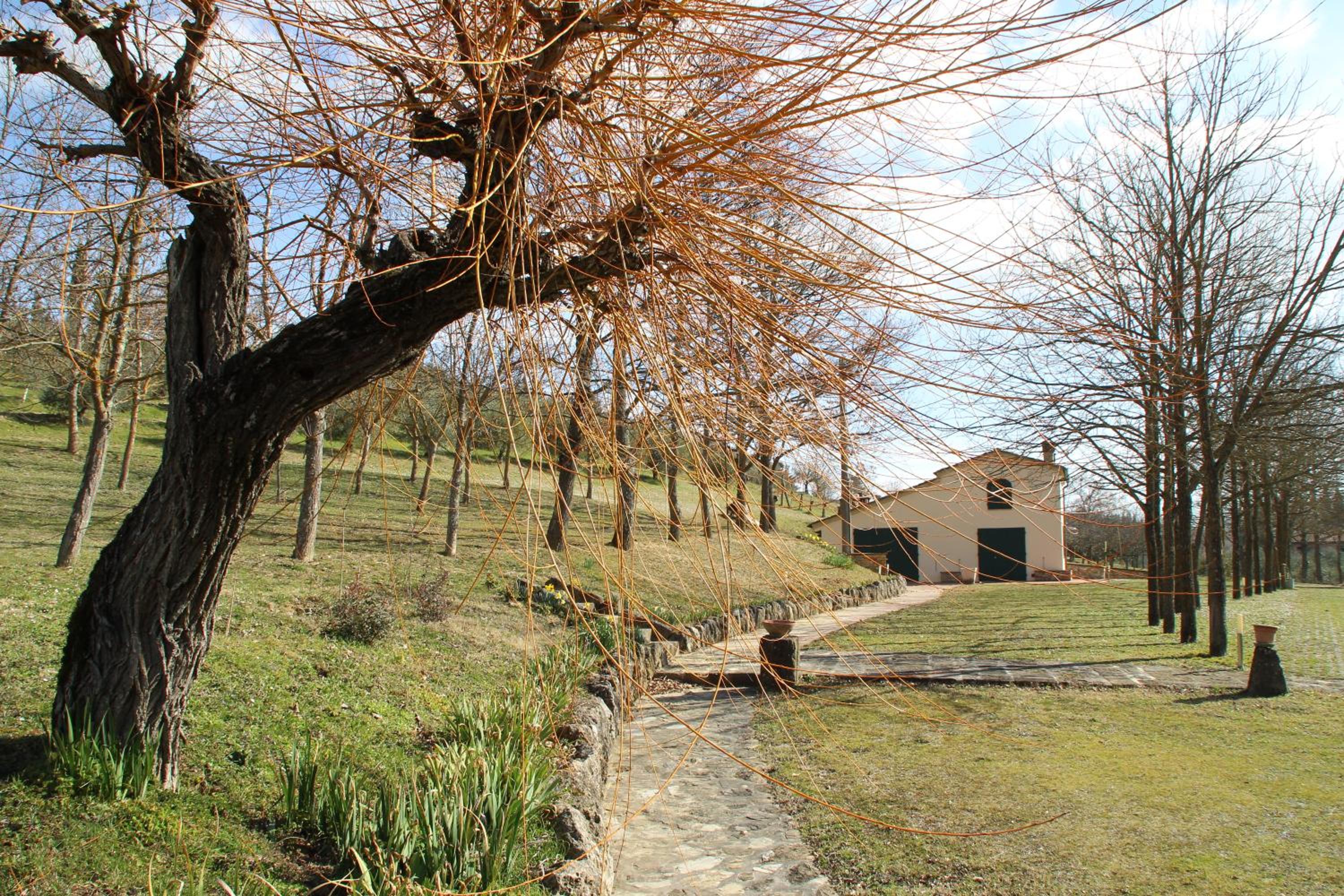Photo 40