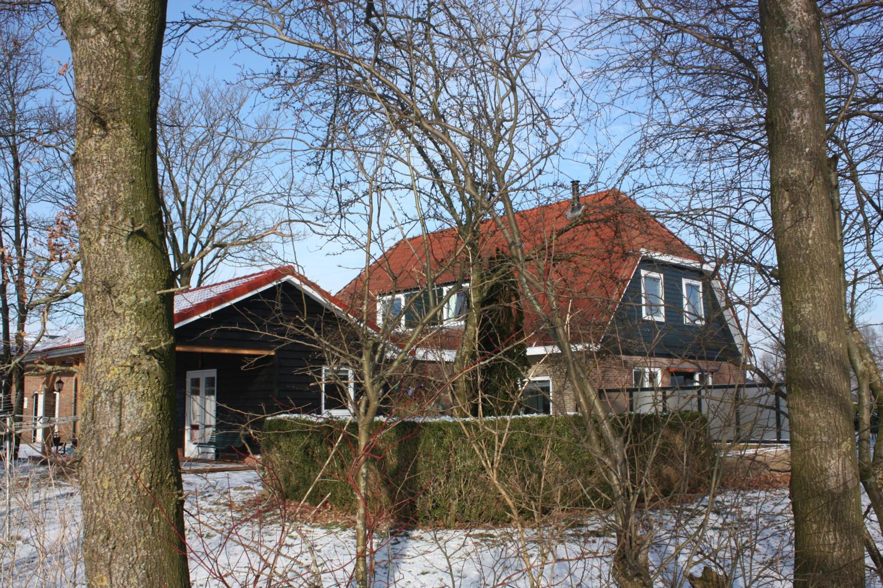 Photo 8