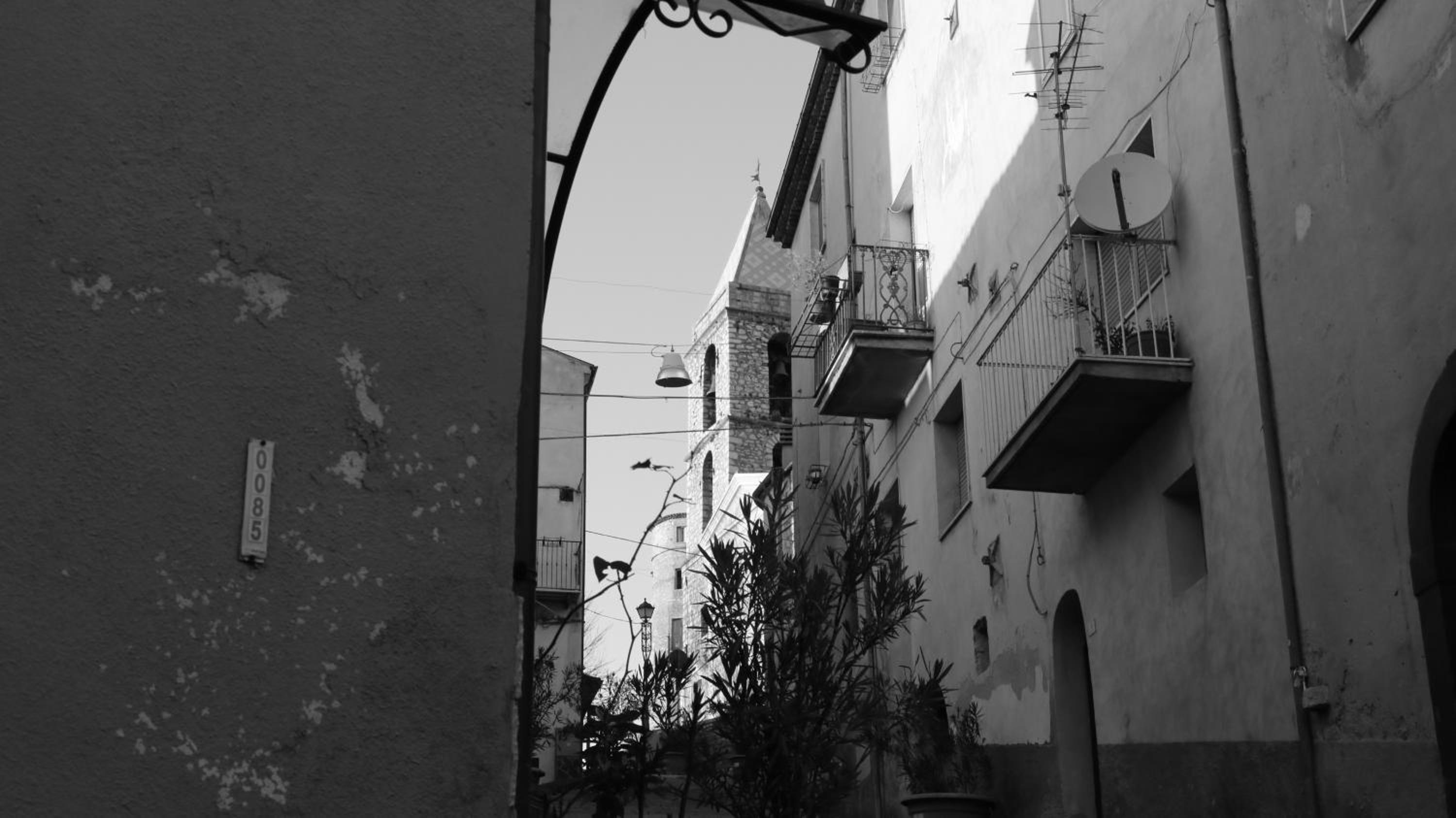 Photo 40