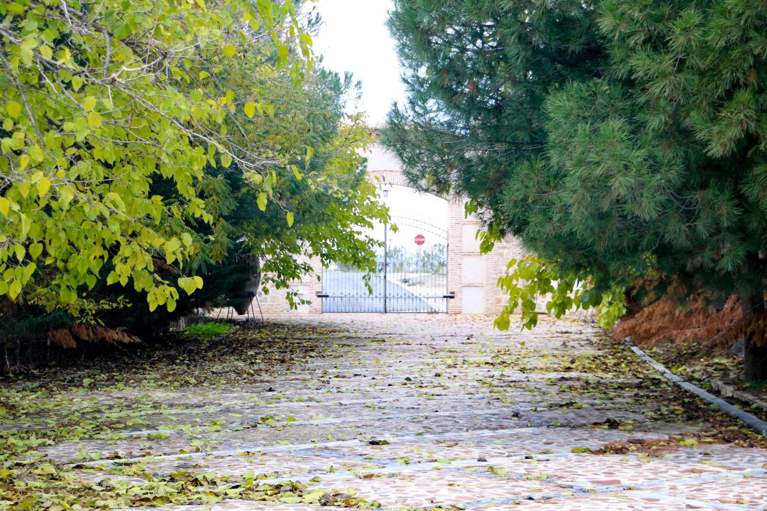 Casas rurales Puente Romano