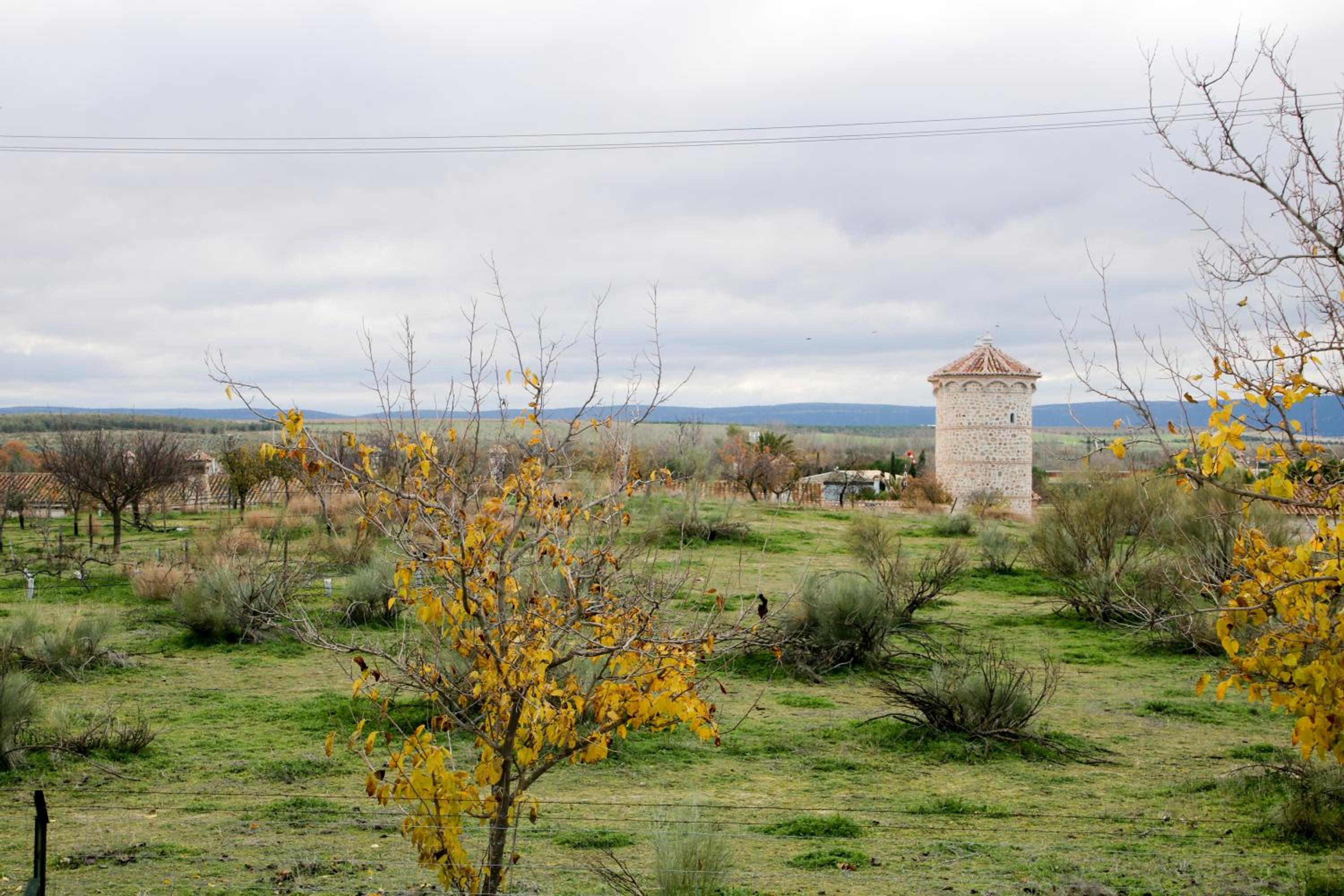 Casas rurales Puente Romano