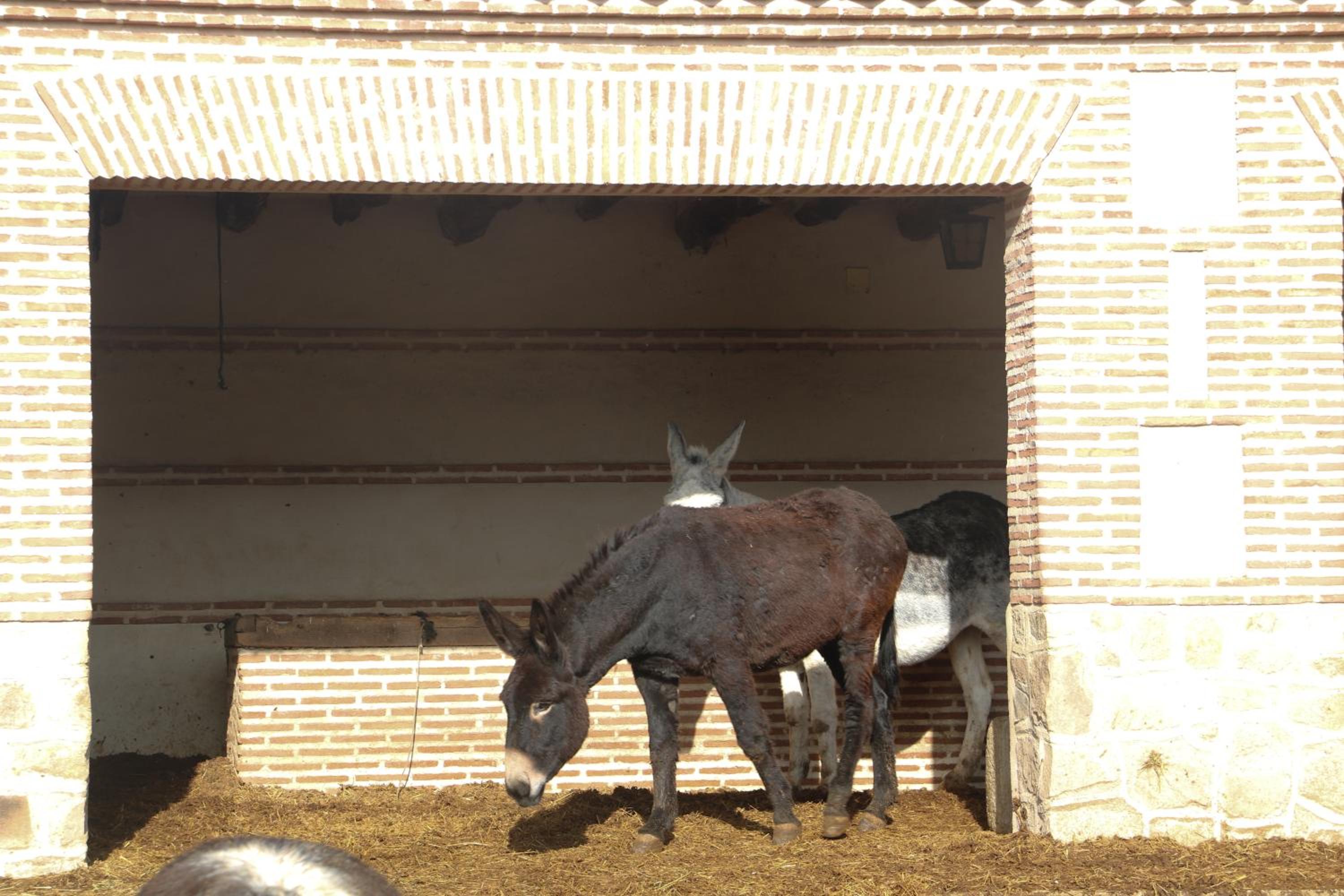 Casas rurales Puente Romano