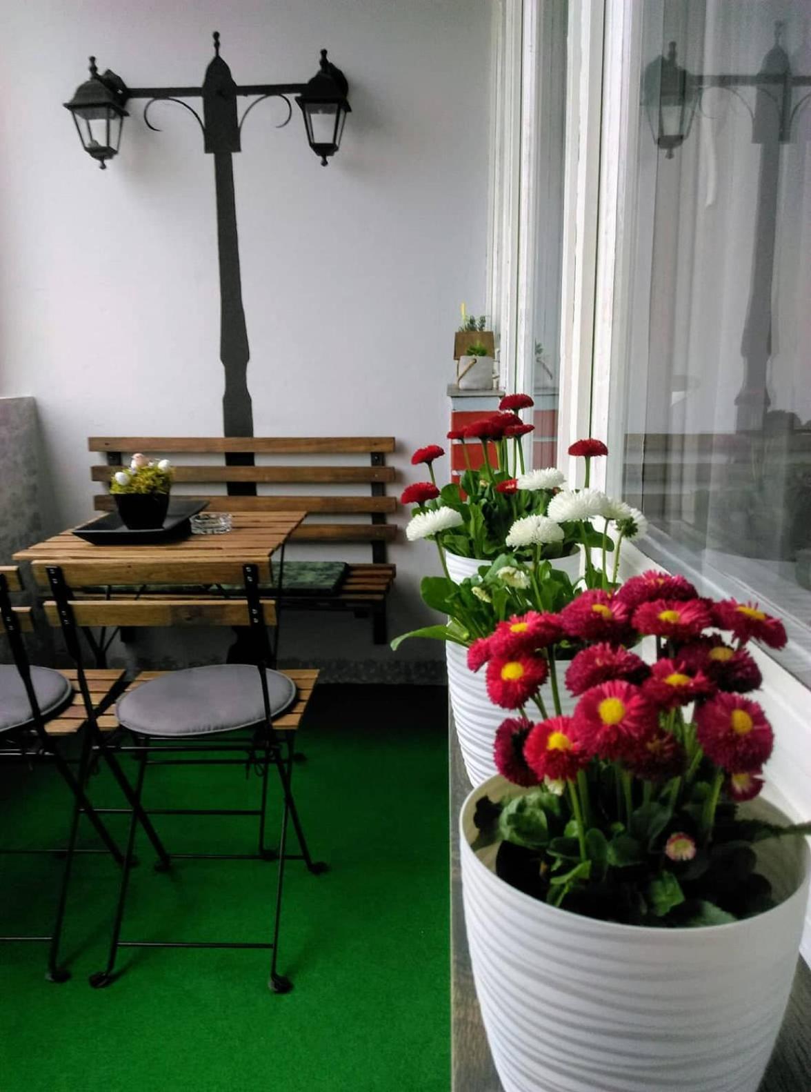 Studio Apartman Ždral en Daruvar — balance & terrace