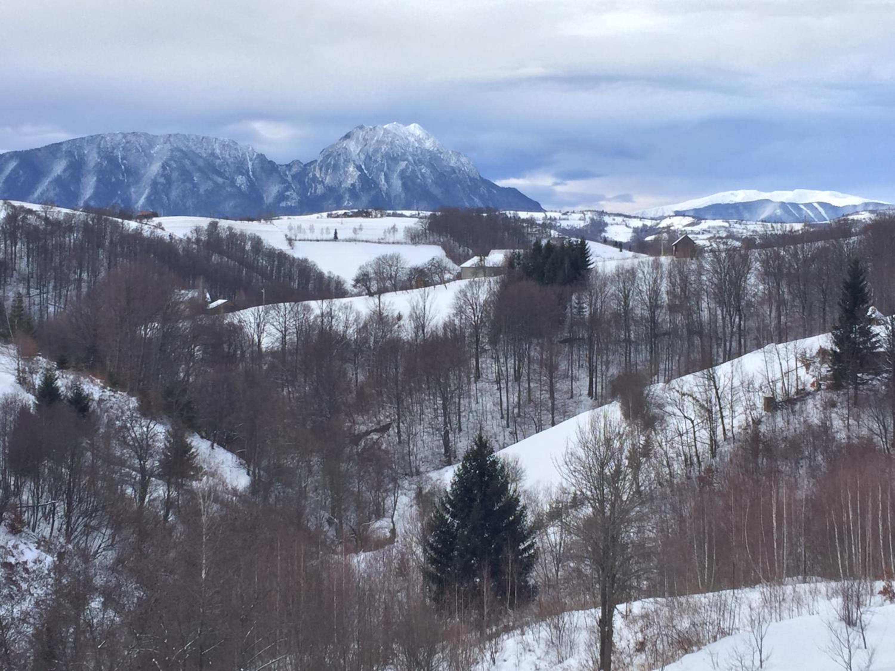 Pensiunea 7 Brazi II view 4