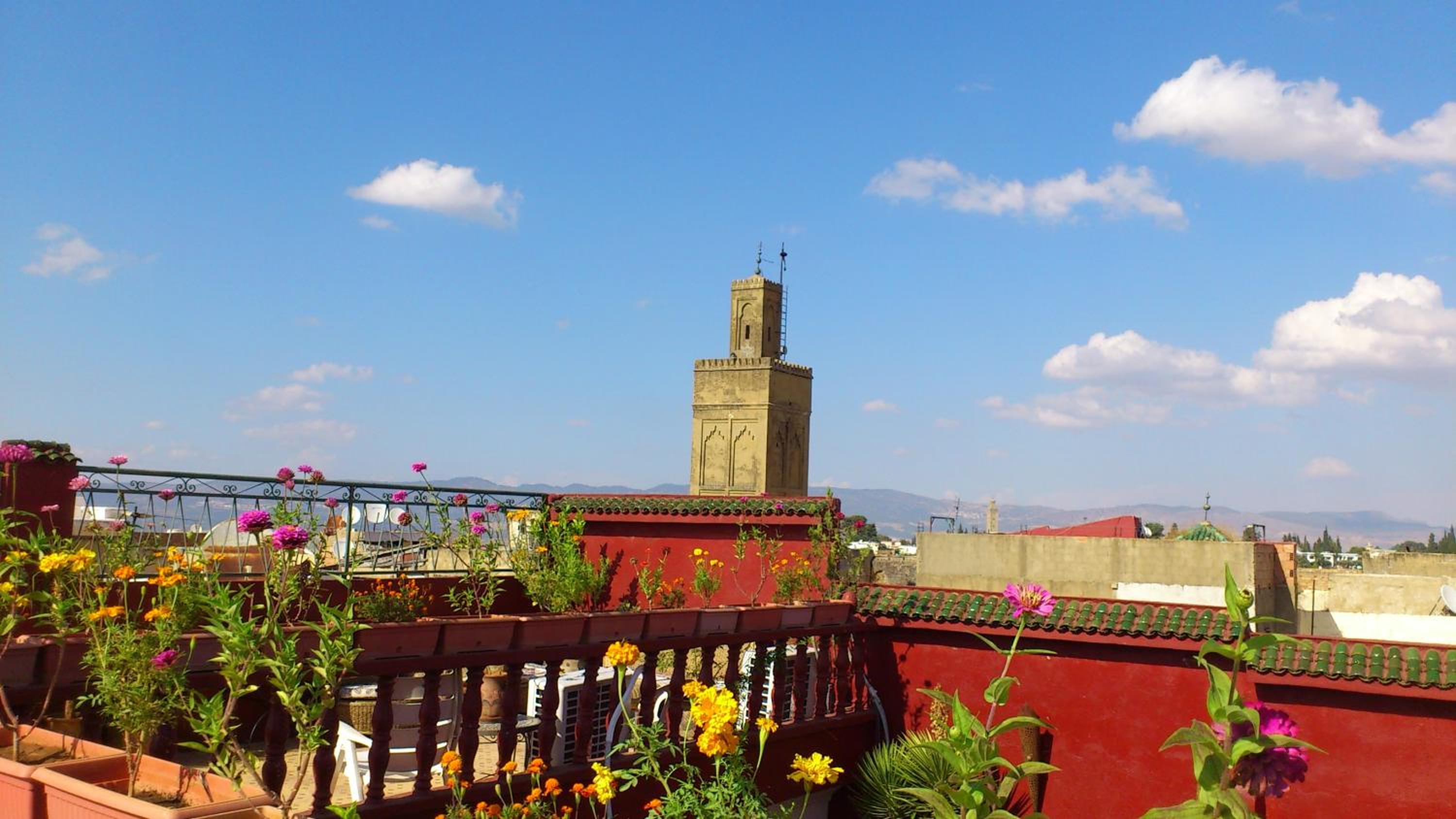 Photo 46