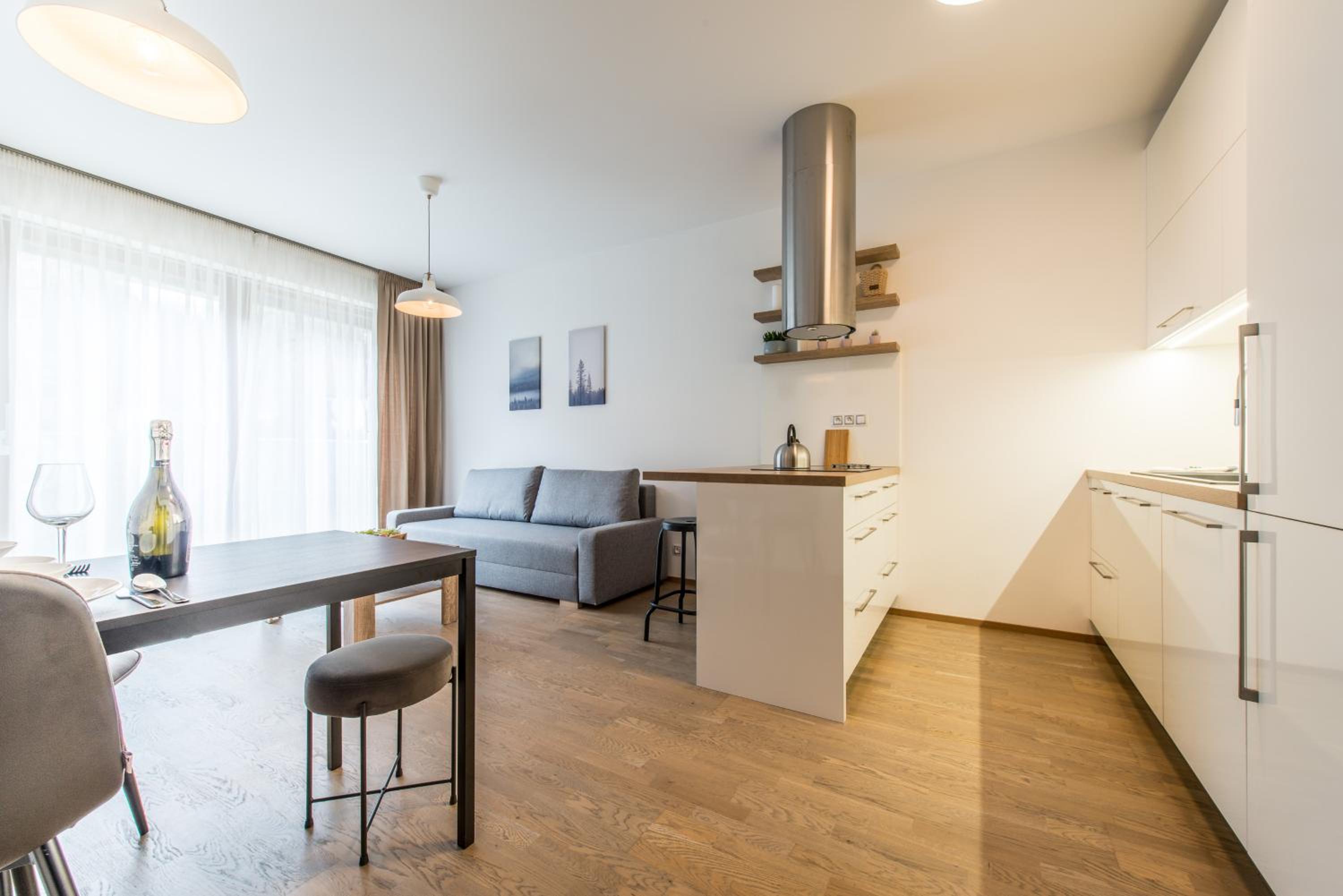 Mozart Central Apartments with garage